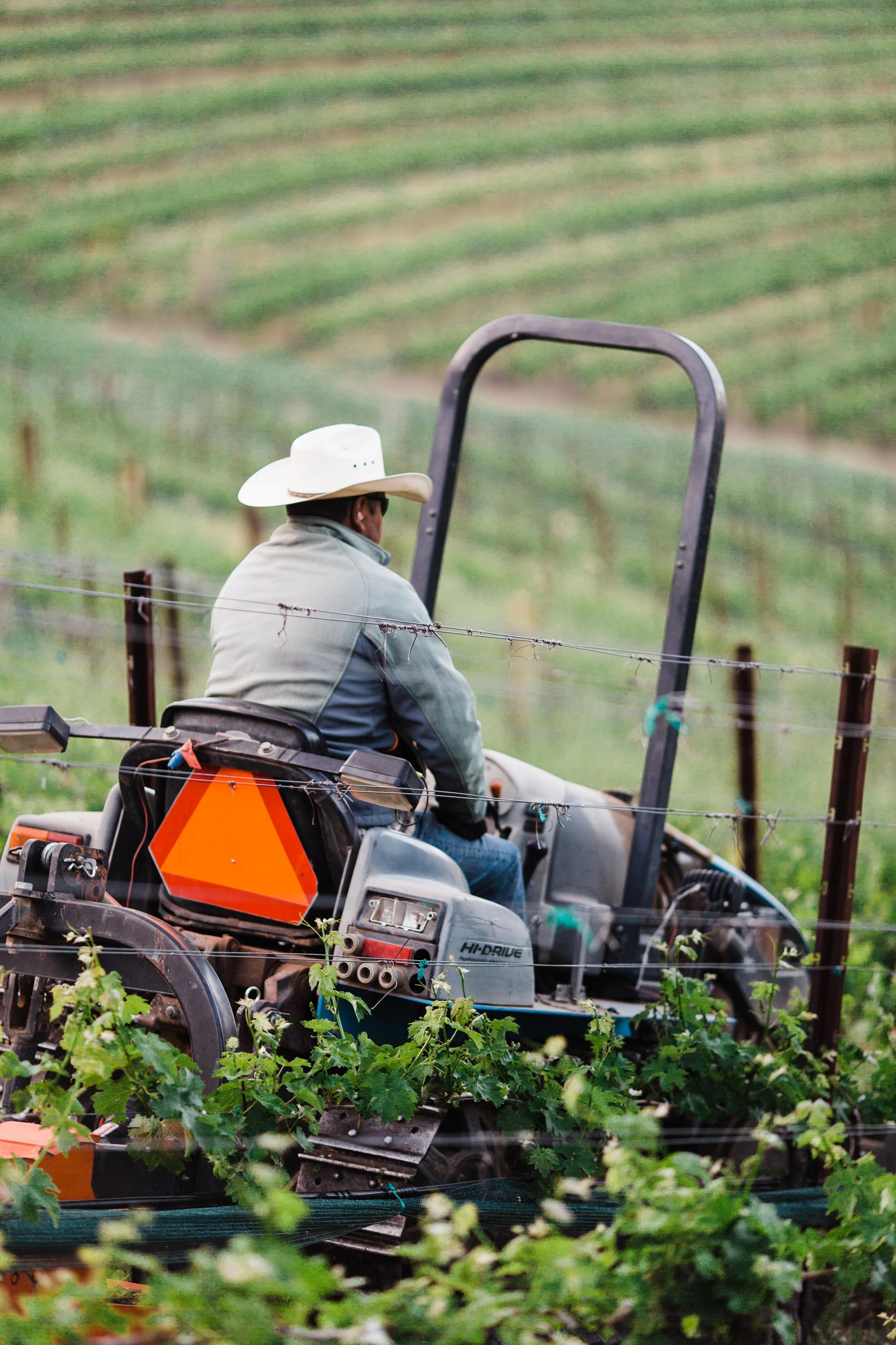 Napa Valley Grapegrowers
