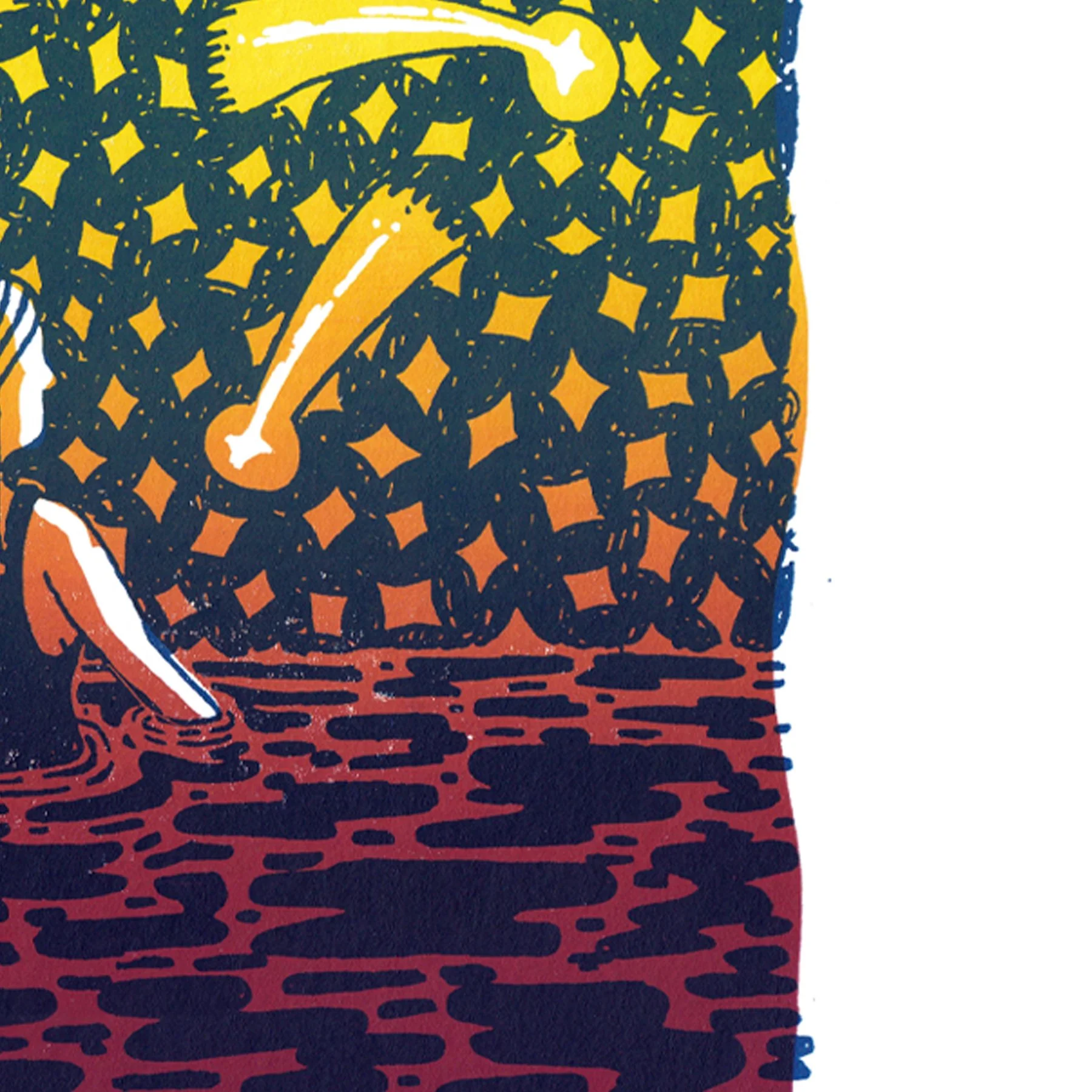 starry slide 2.jpg