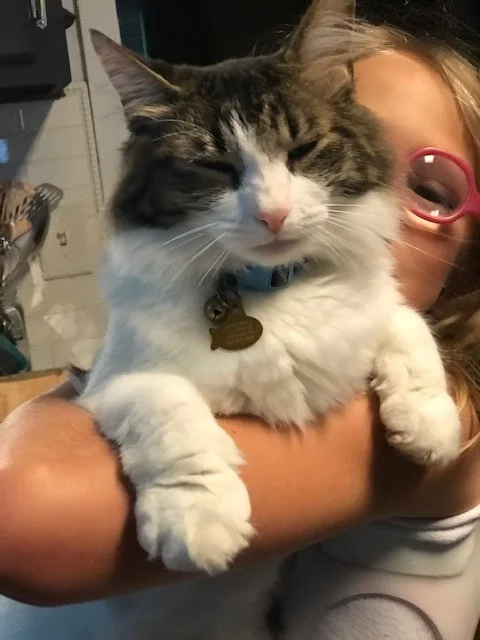 So glad to have this little guy back home!