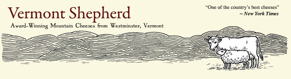 Vermont Shepherd Logo.png