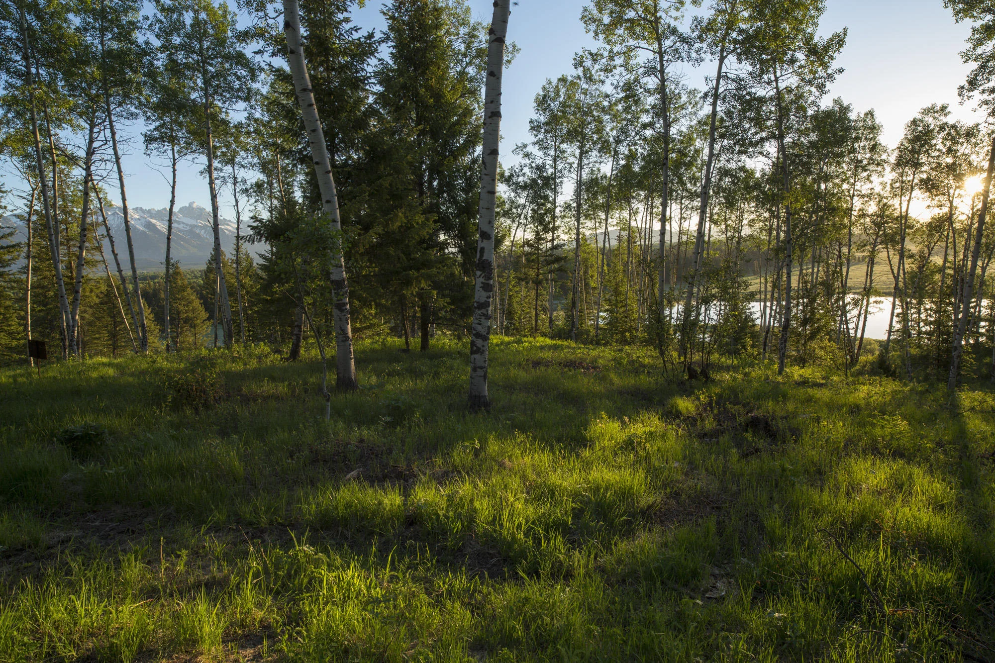picture-uh=acc6abd94a1a0b4805f4daec9f5a2a-ps=b0a7eb1fea48cab8dd616f851a12a4-935-W-Bar-Bc-Ranch-Rd-Jackson-WY-83001.jpg