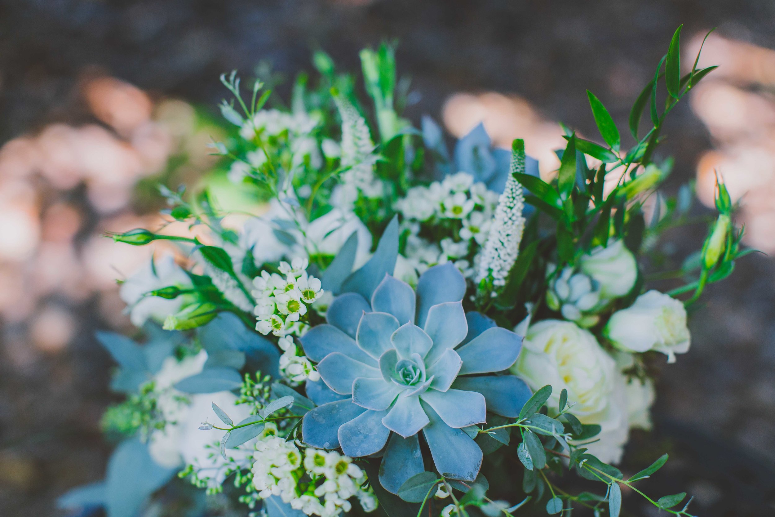 2015-Perkinson-Wedding-GerrysRanch-0006-web.jpg