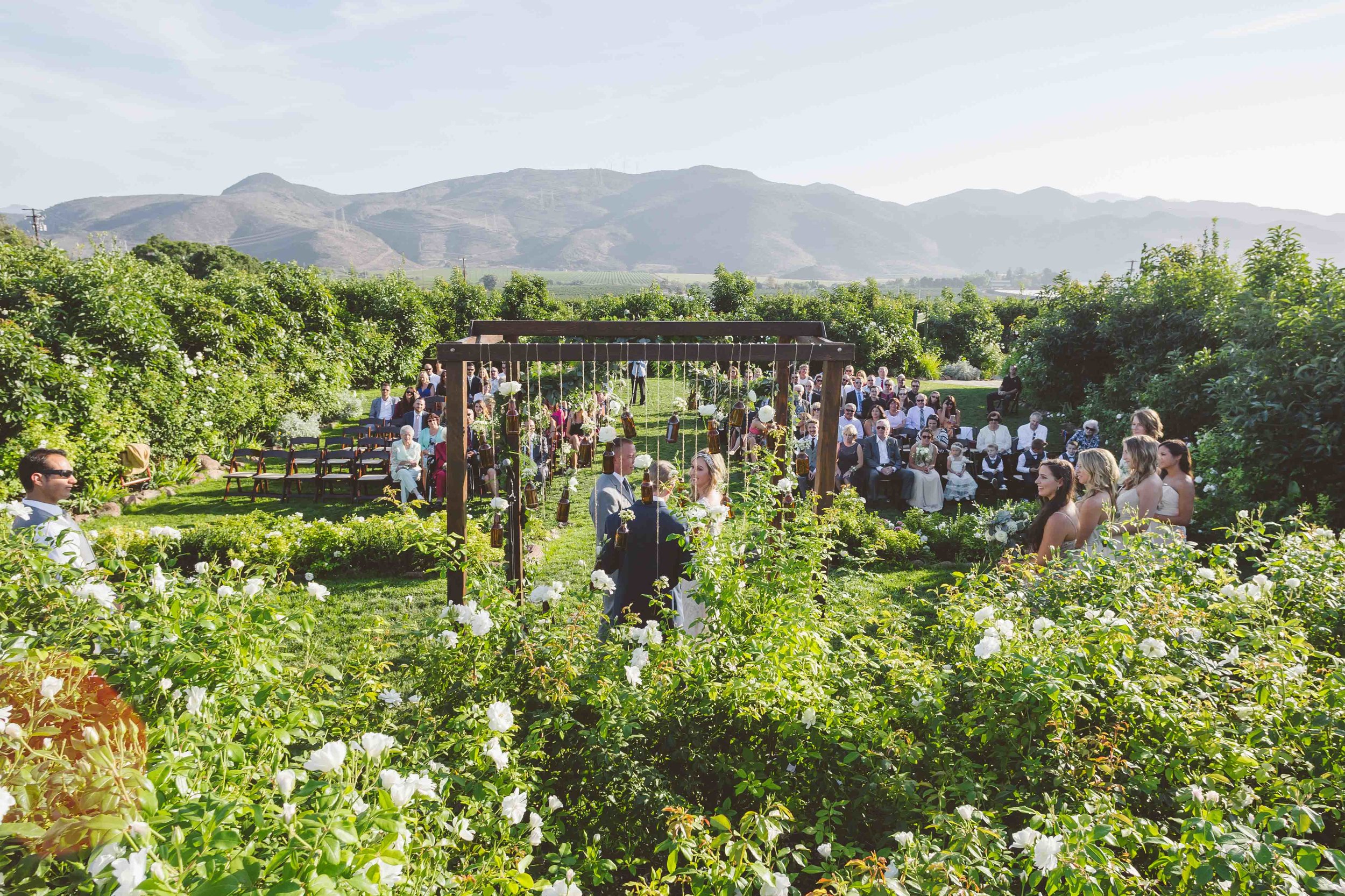 2015-Perkinson-Wedding-GerrysRanch-0146-web.jpg