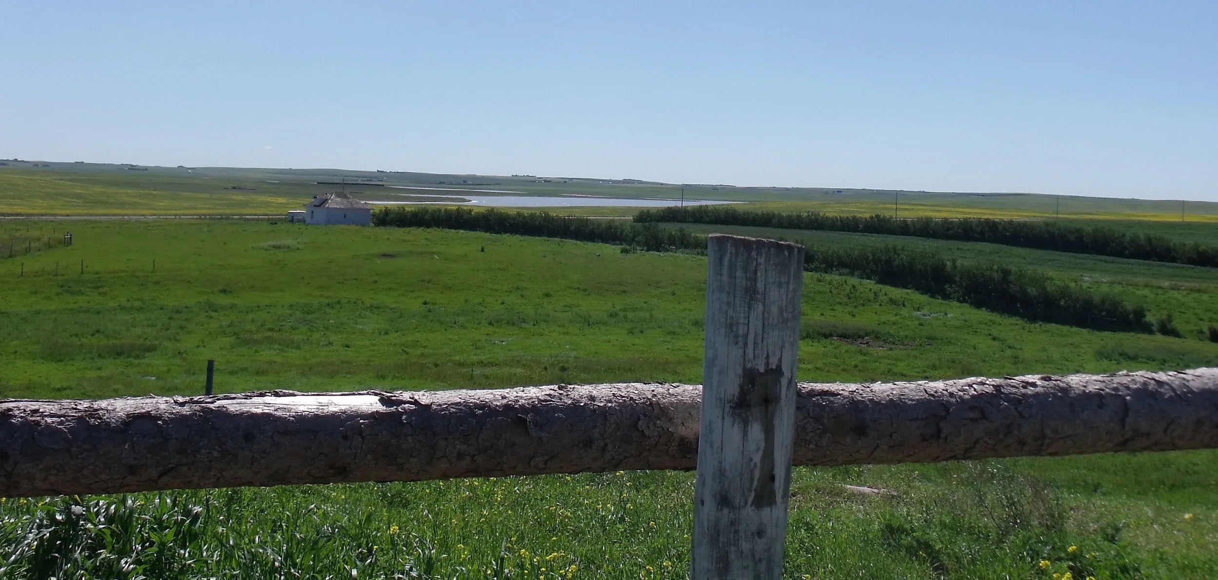 Witzaney Family Reunion 2011 022 [cropped](1).jpeg