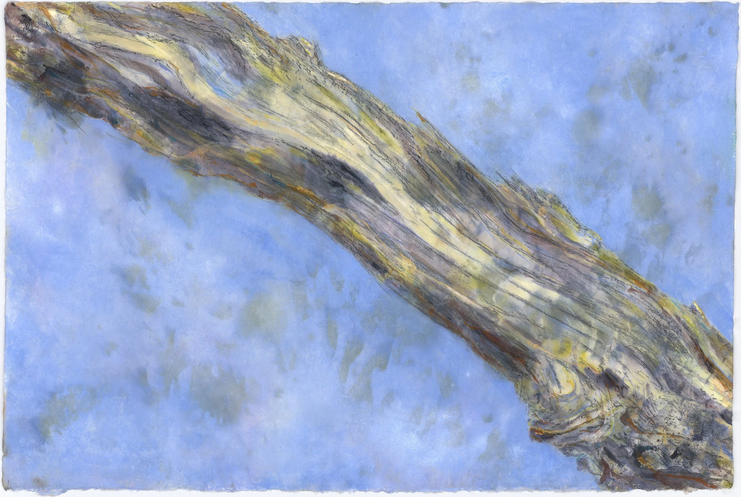 In the Arms Of The General 1 