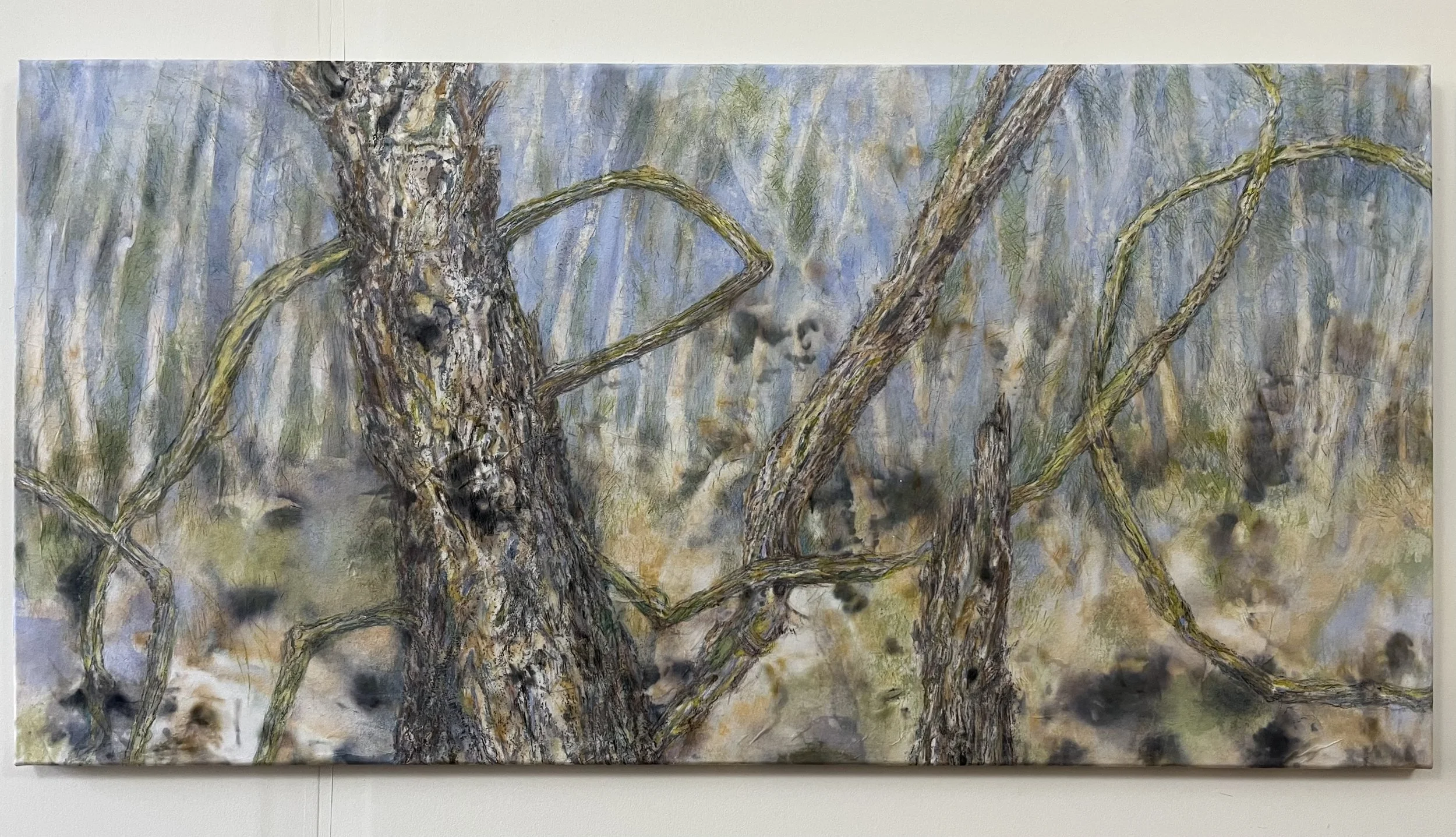 Dancing with Ghosts of Banksia Men 1