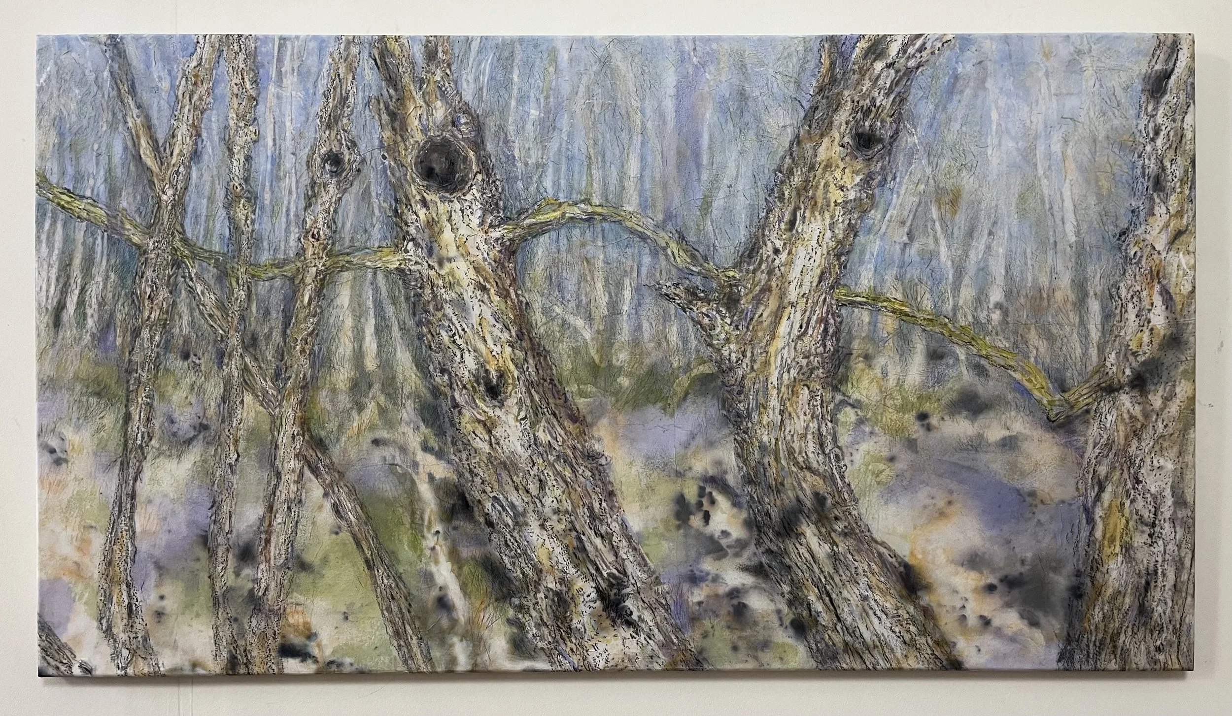 Dancing with Ghosts of Banksia Men 2