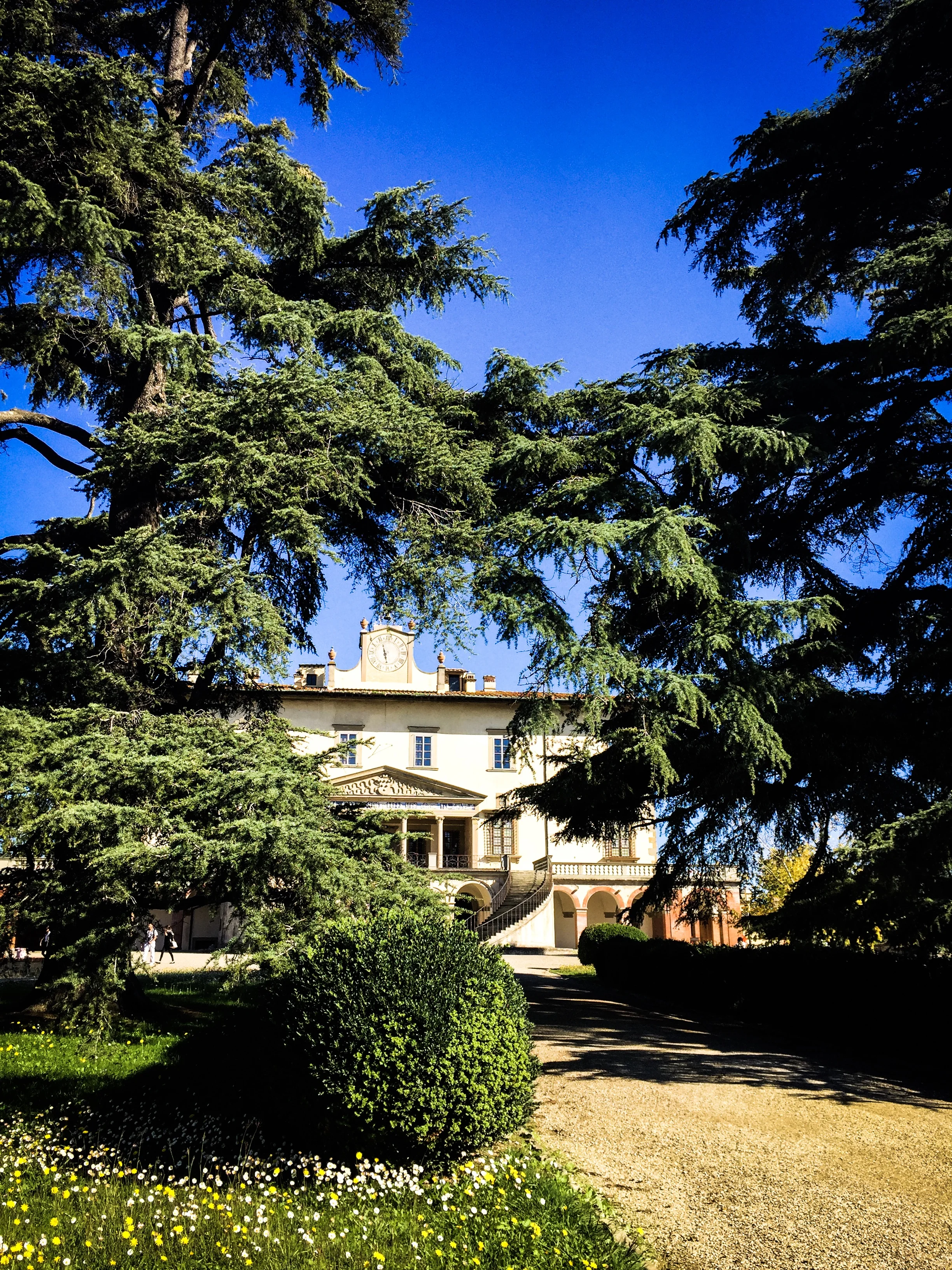 Villa Medicea 7.JPG