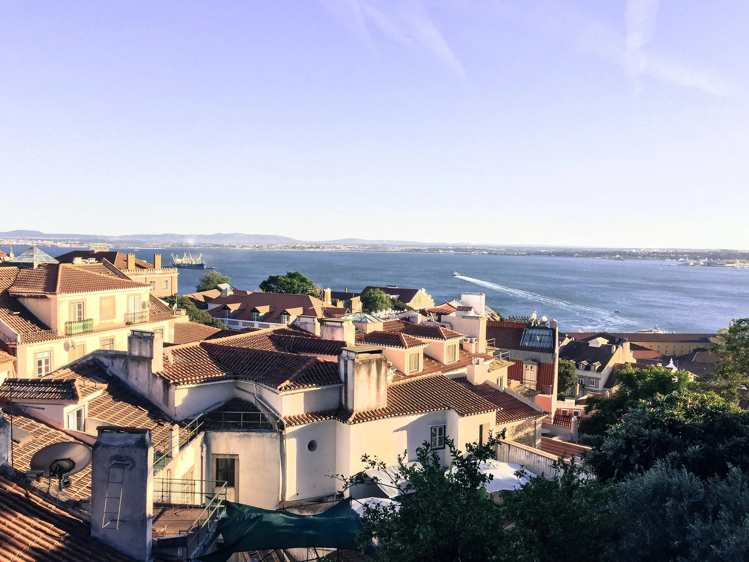 Alfama View from Sao Jorge Castle Lisbon.JPG