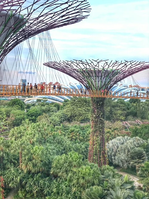 skywalk.jpg