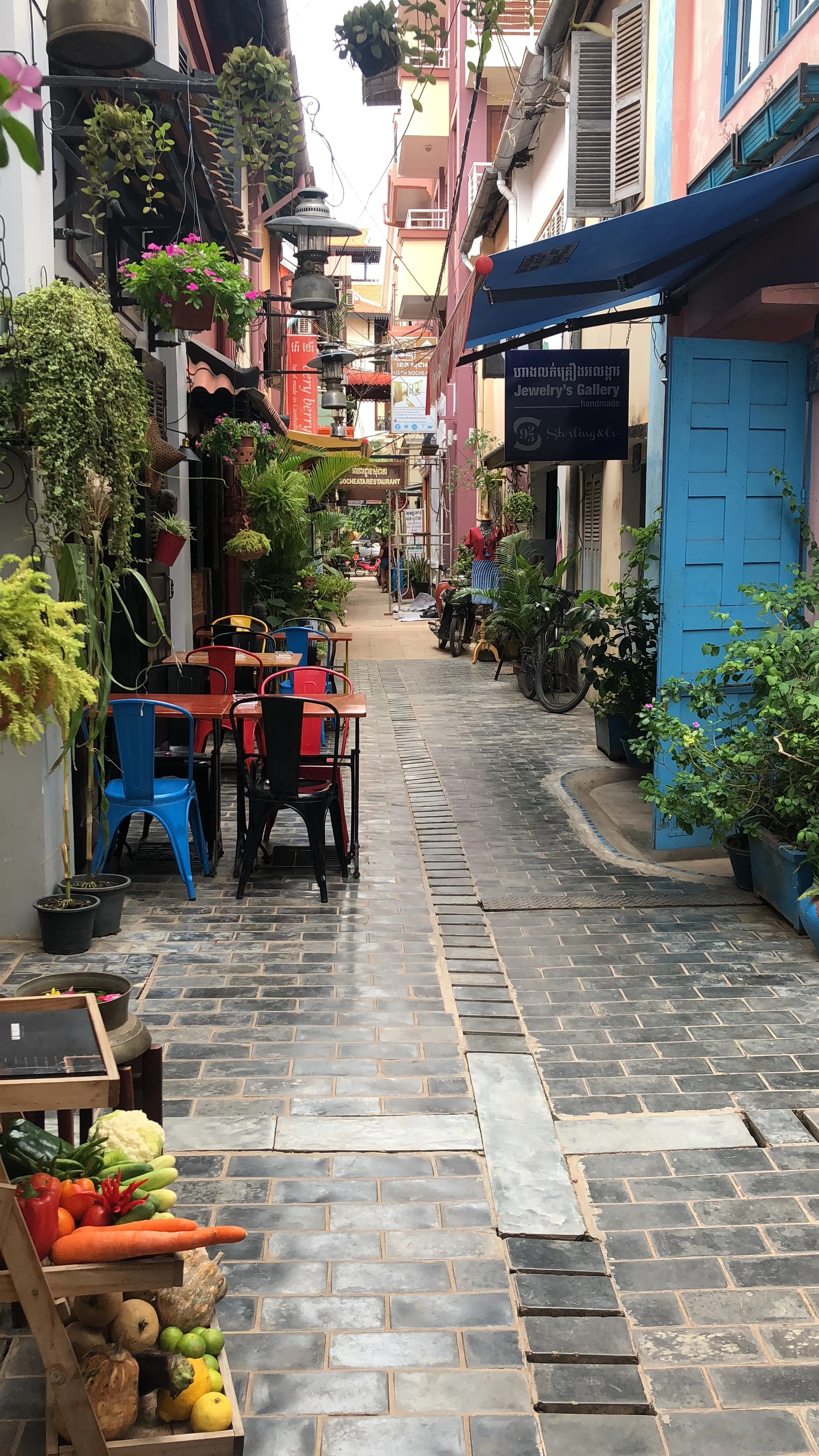 cambodia_beautiful_lane.jpg