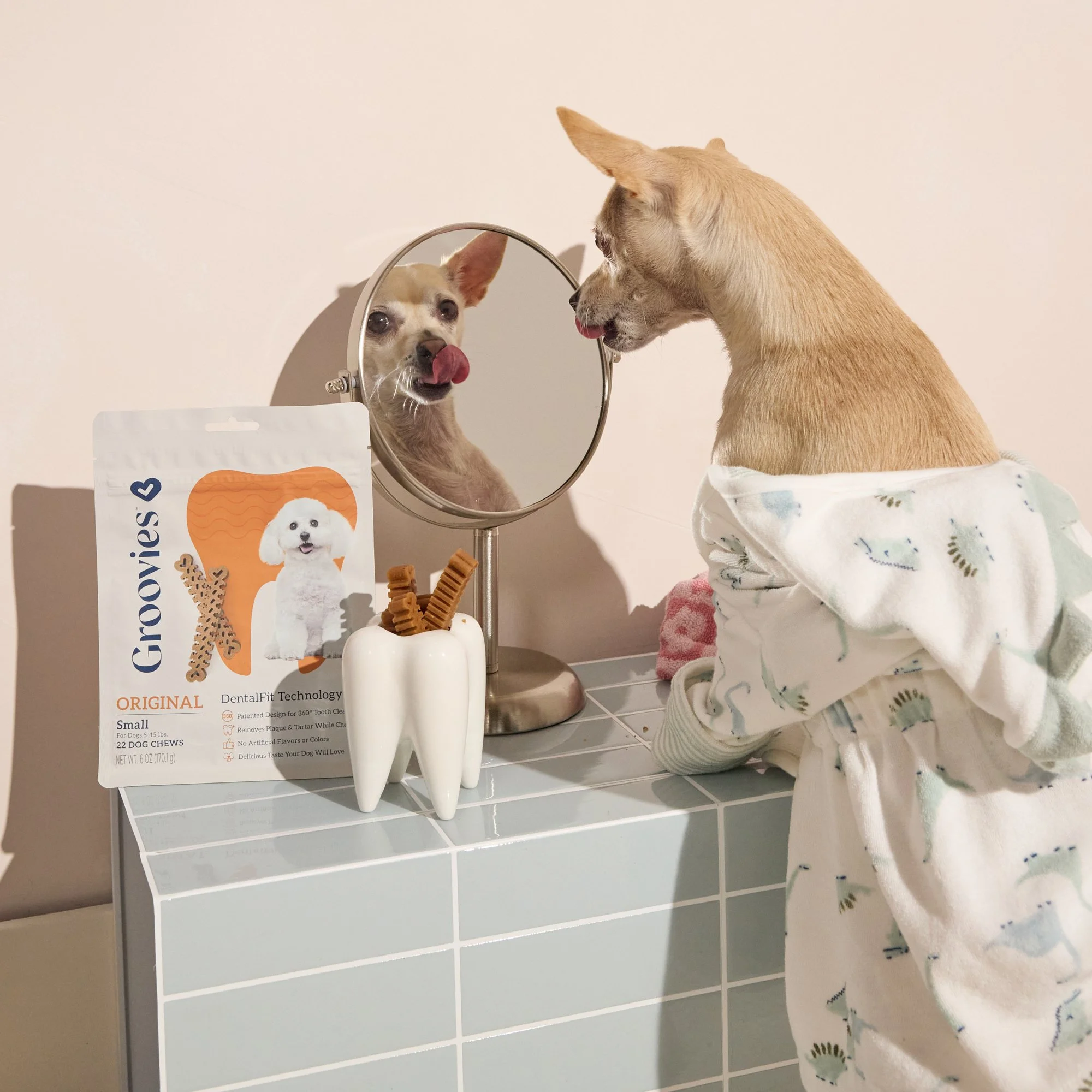WEB-HighRES-Groovies-Pets-Dec-2024-PJP-0174.jpg