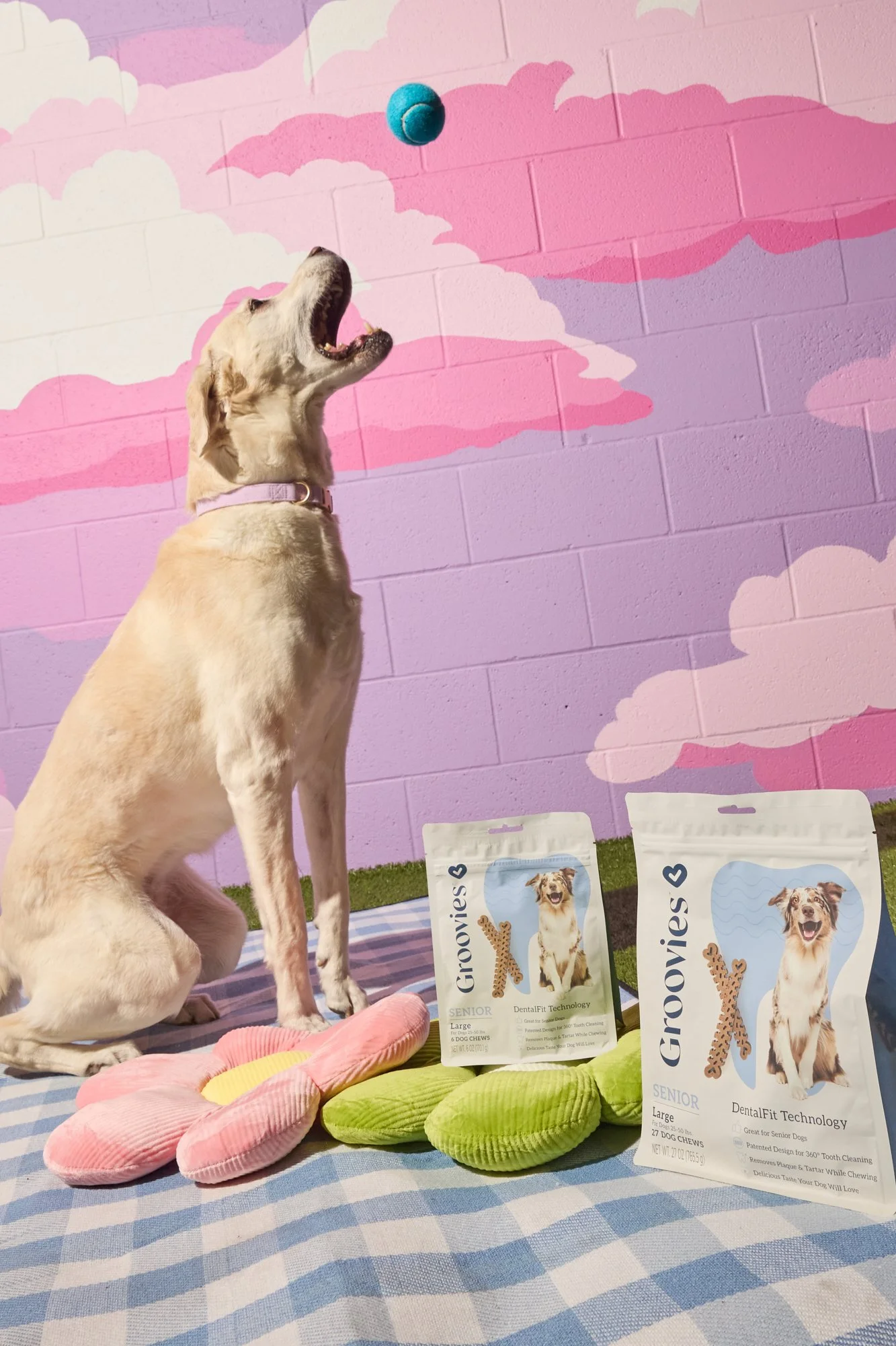 WEB-Groovies-Pets-Dec-2024-PJP-444.jpg