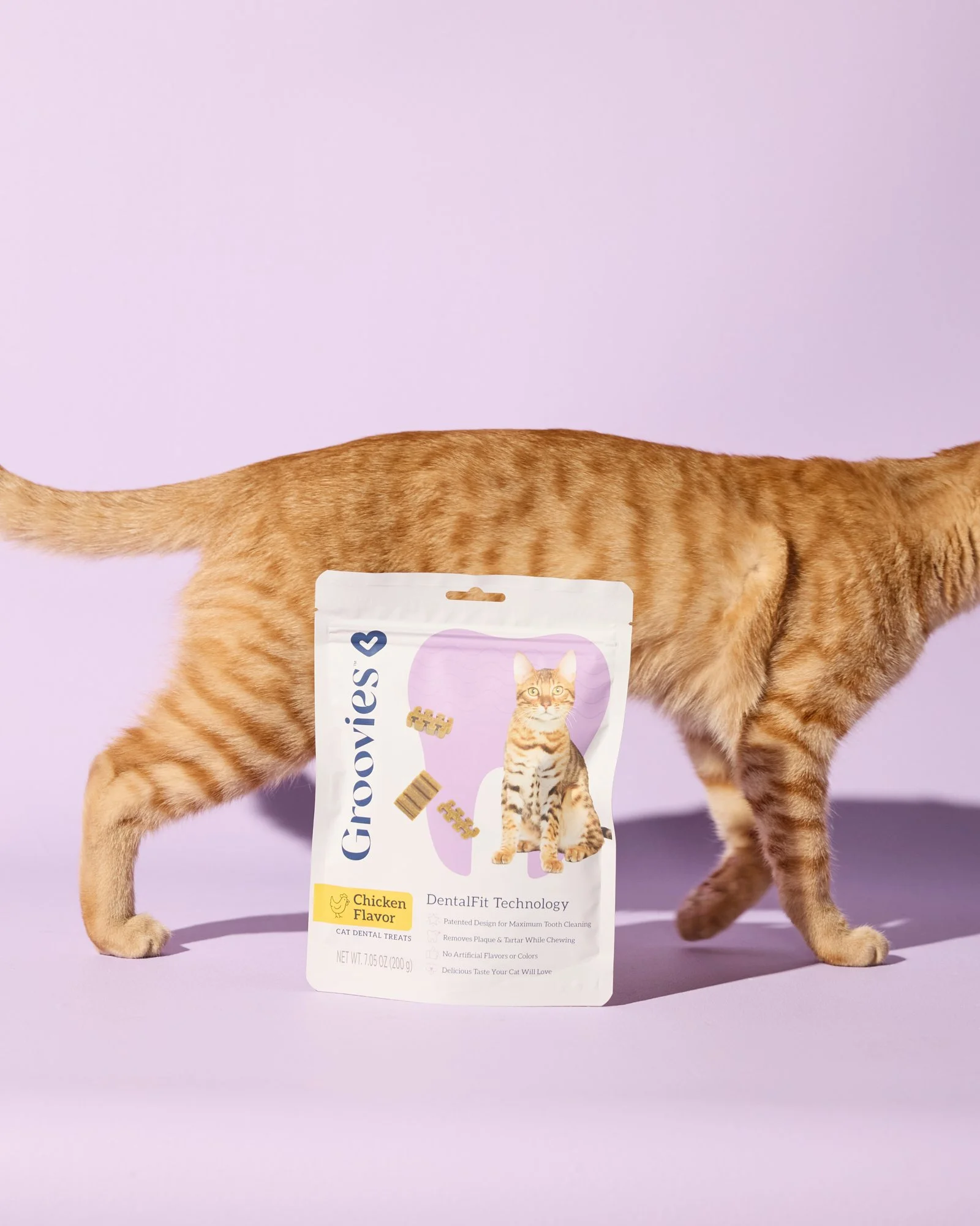 WEB-HR-Groovies-Pets-Dec-2024-PJP-1549.jpg
