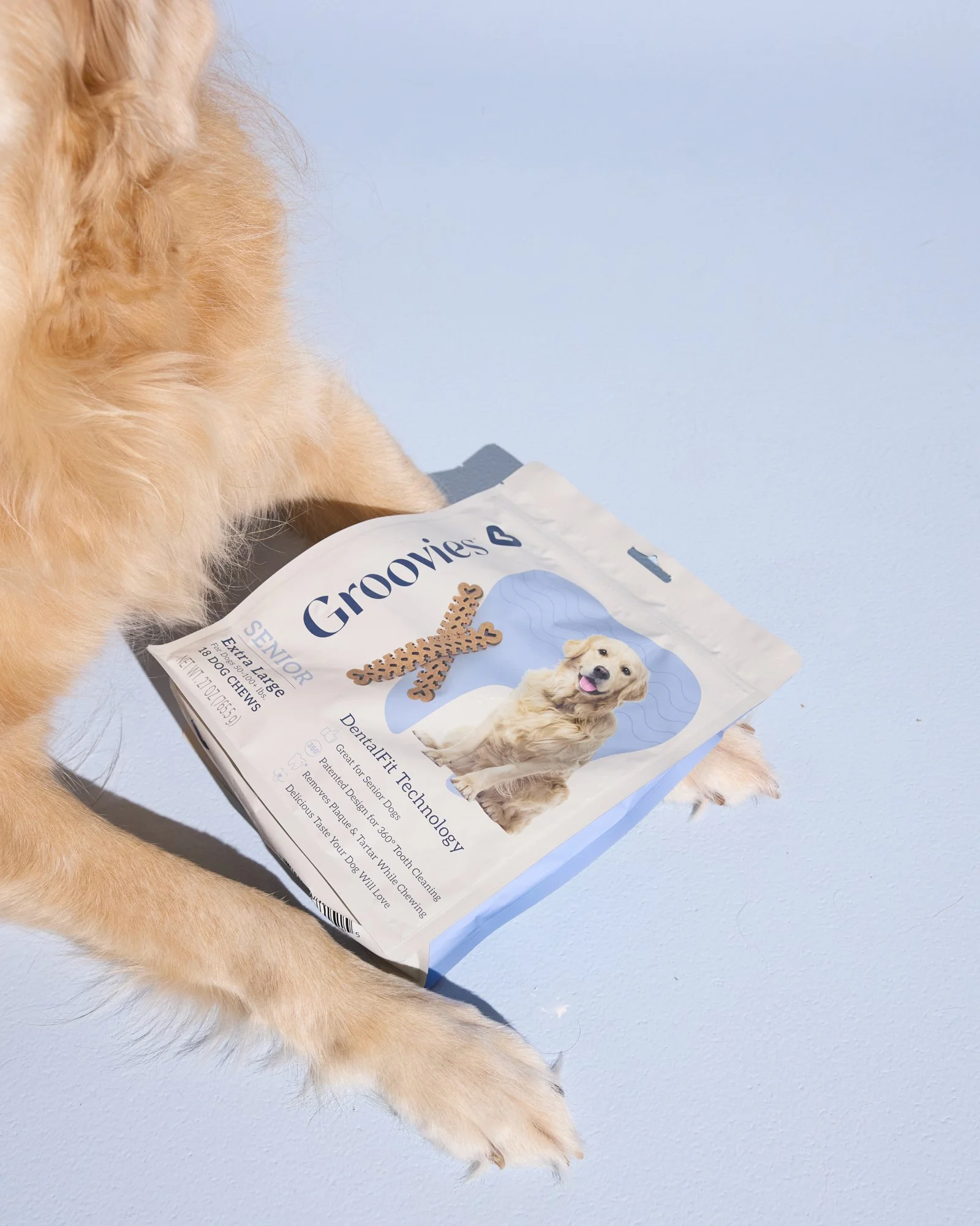 WEB-Groovies-Pets-Dec-2024-PJP-384.jpg