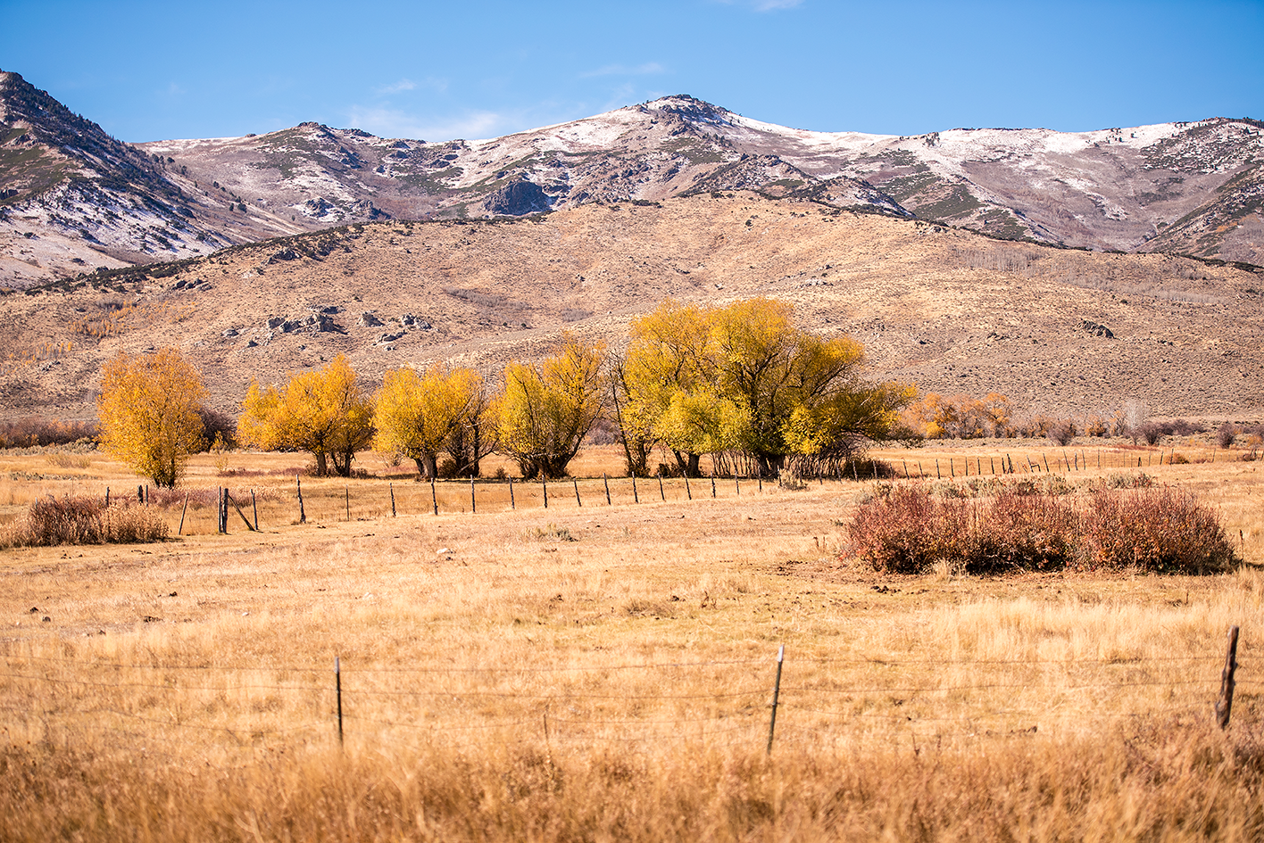 Clover Valley Nevada