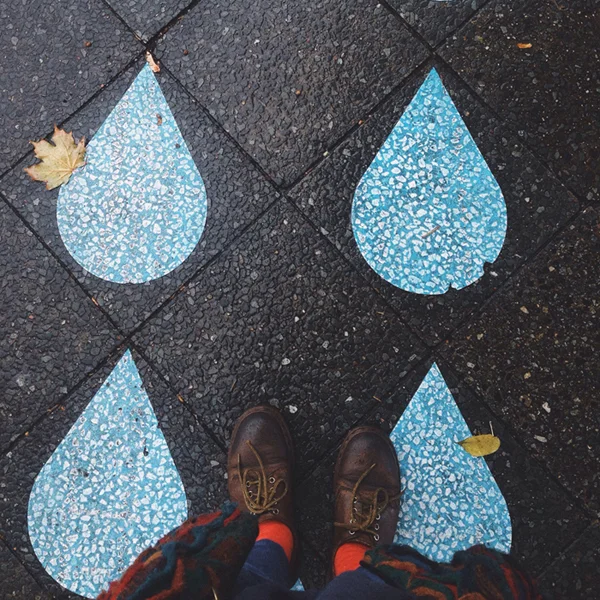 Didn't notice you guys until this rainy day