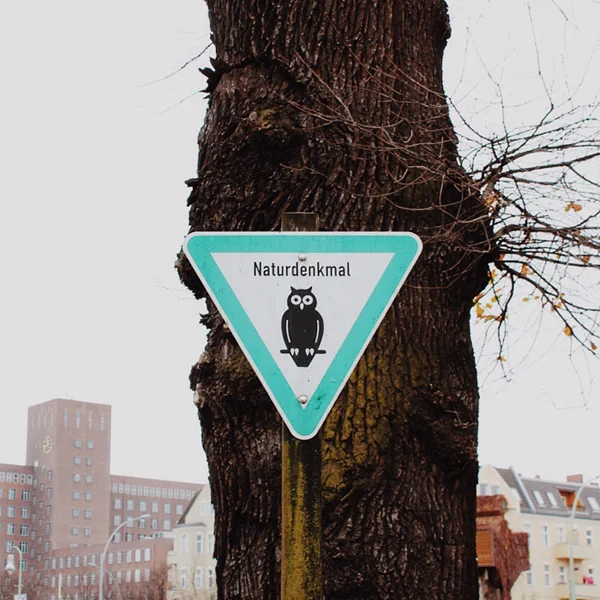 Berlin has many forests so do owls