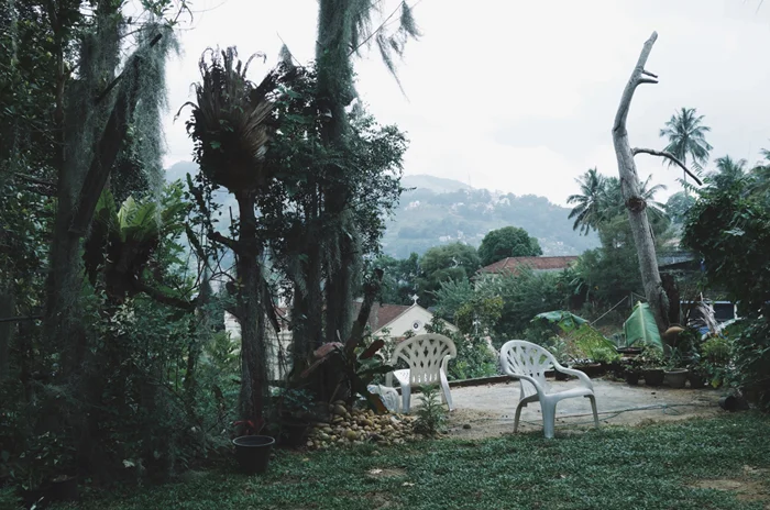Homestay in Kandy. After the rain.