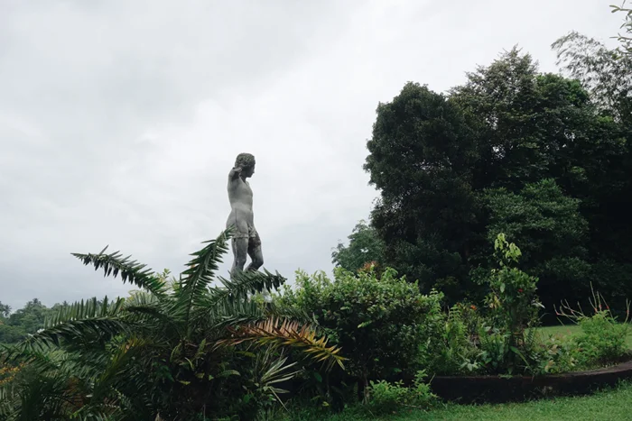 LUNUGANGA in the wet tropical zone