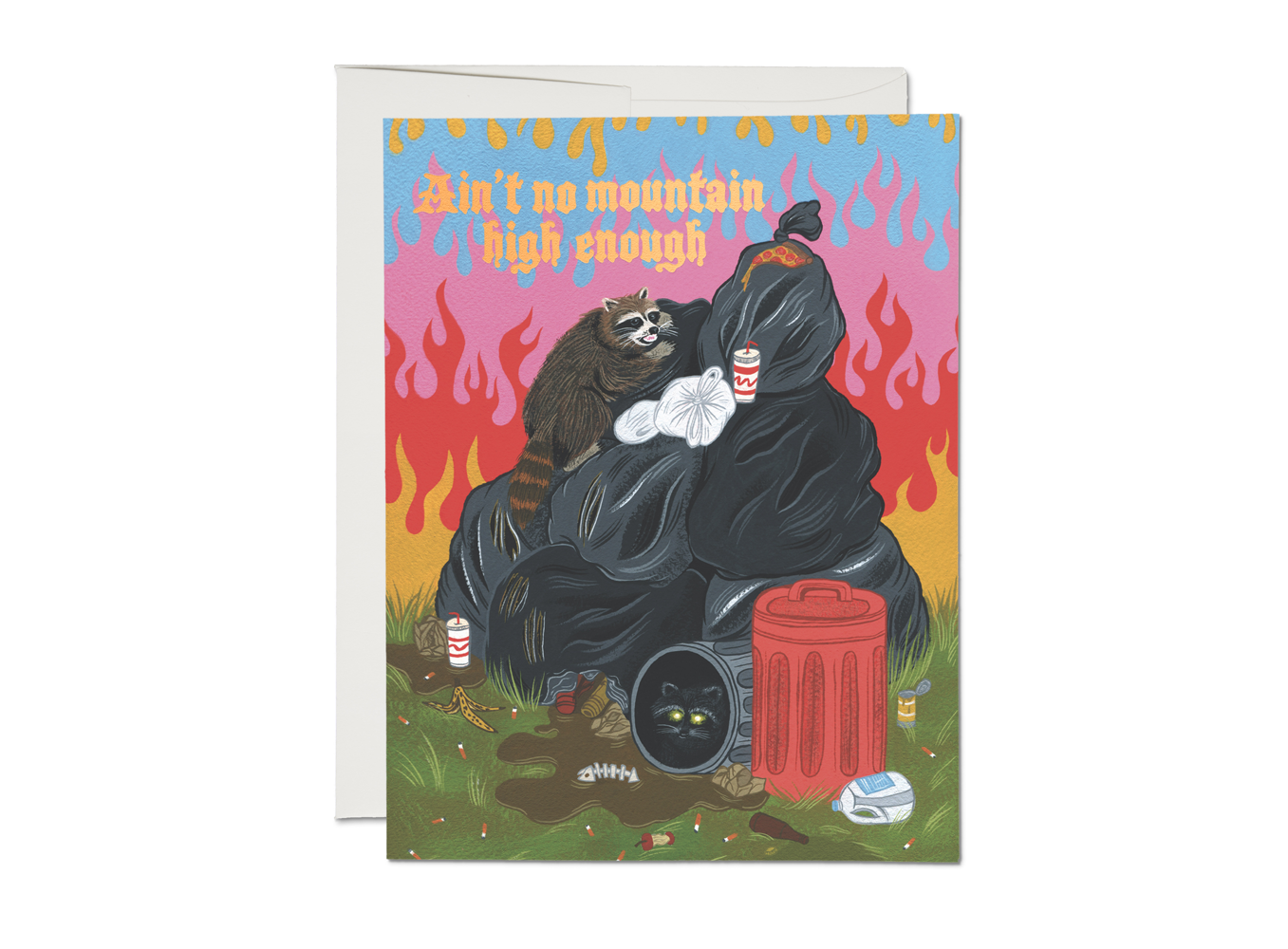 Raccoon Fun Greeting Card