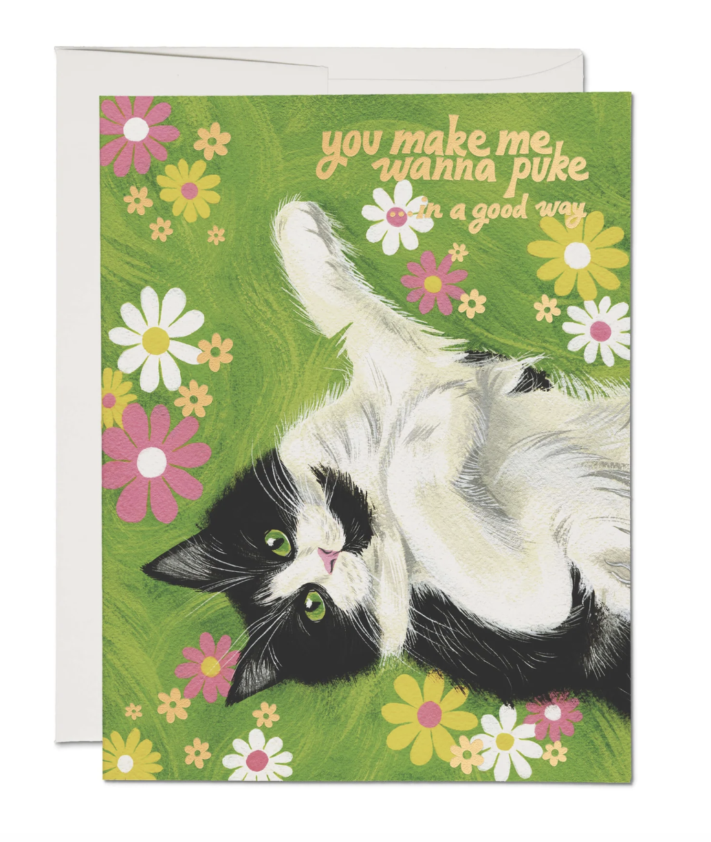 Nice Kitty Greeting Card