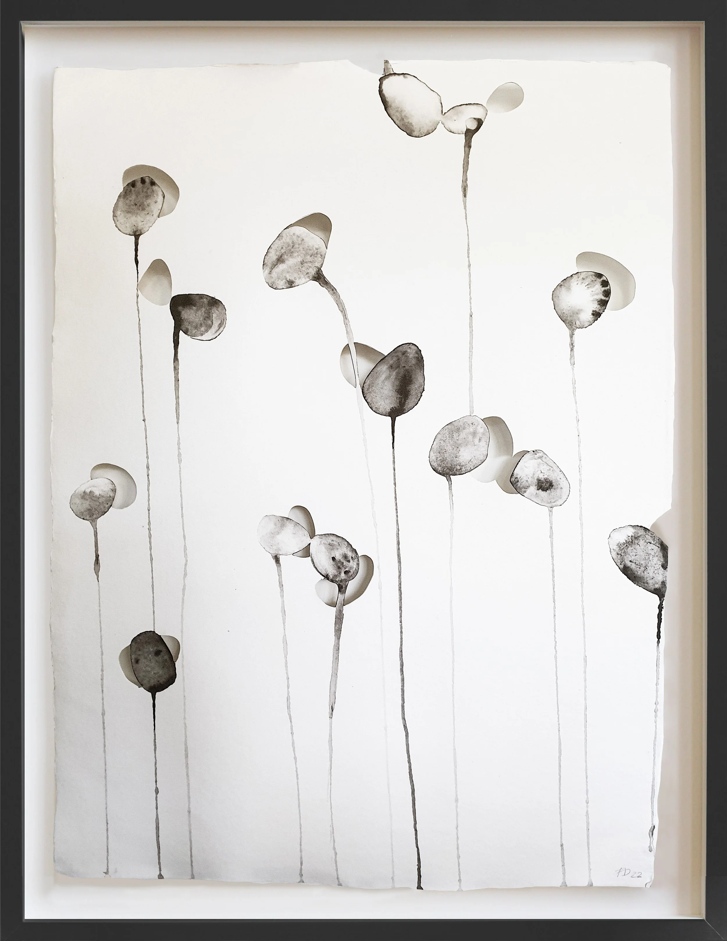 Basal Elements. Serene | 76cm x 56cm (unframed) | Price upon request