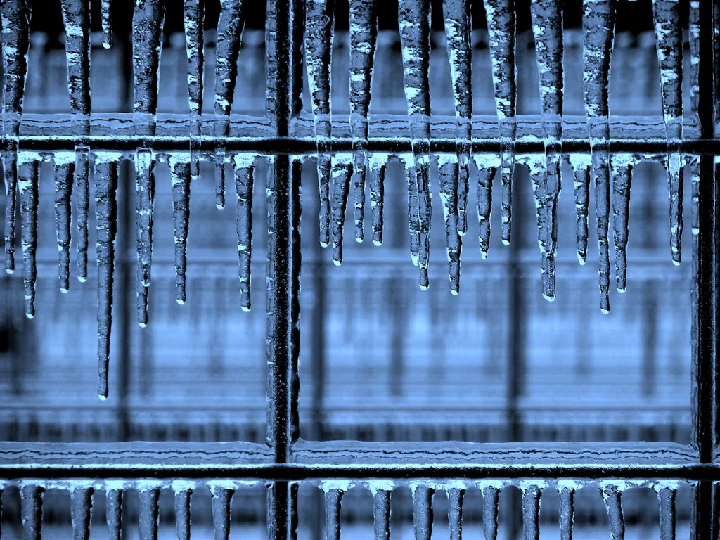 WILLIAM BAILEY - Macomb, IL Frozen Farm Fences, Macomb photography