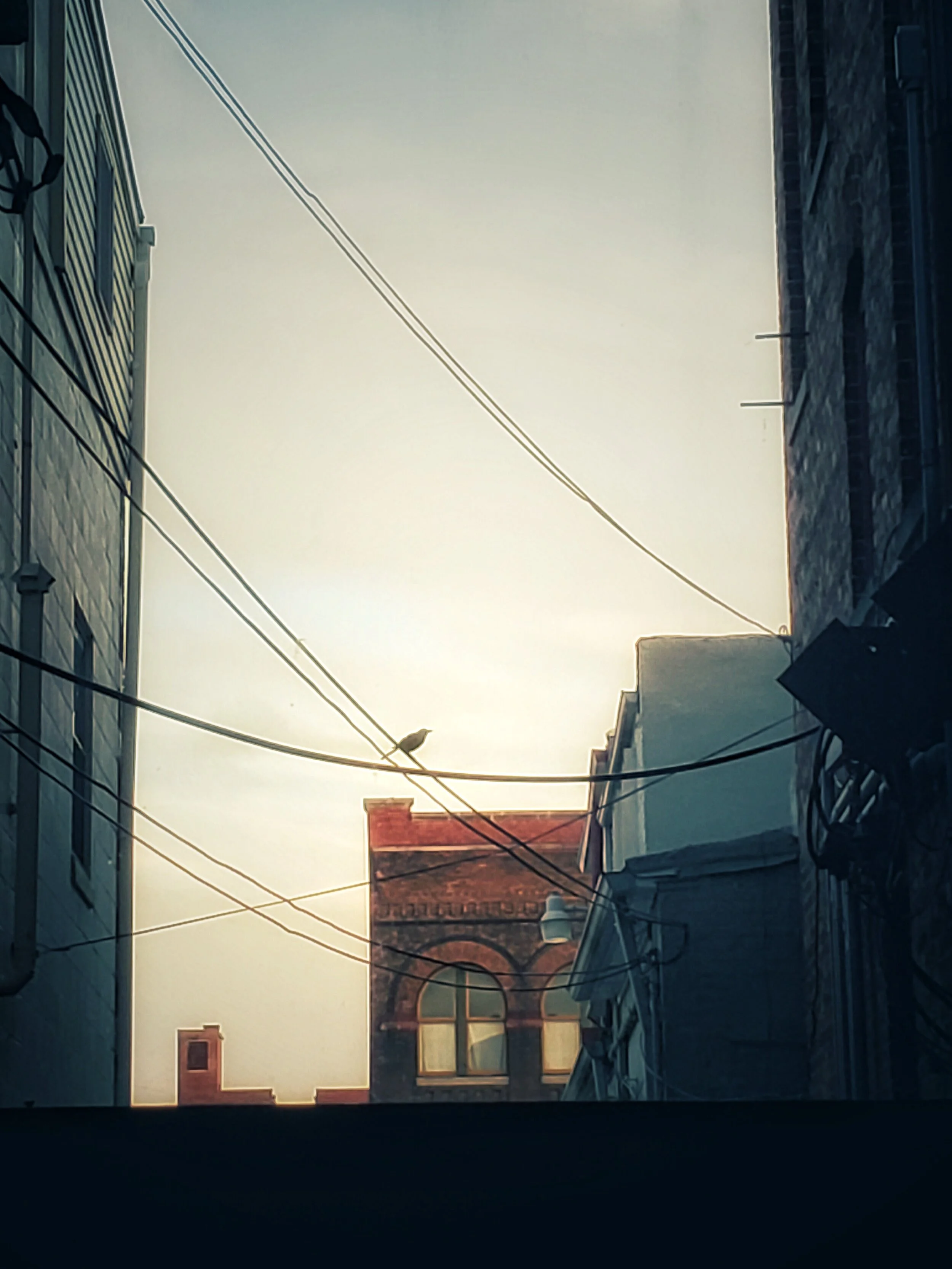 Wanderings…photography by ellen, 11”x14”, SOLD