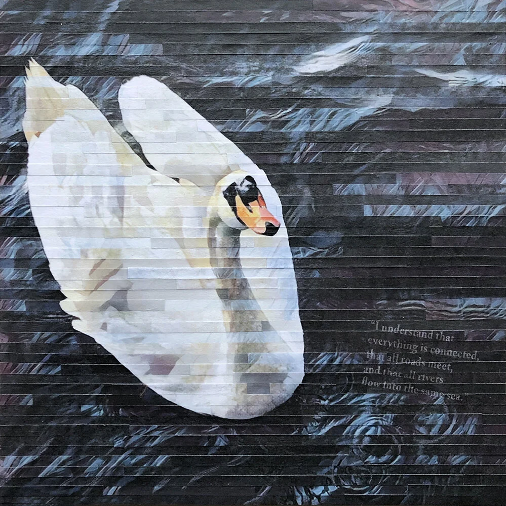 Lori Reed, Everything is Connected, multiple digitally altered prints of swan combined with text cut into strips and pieced together, 12”x12”, $315