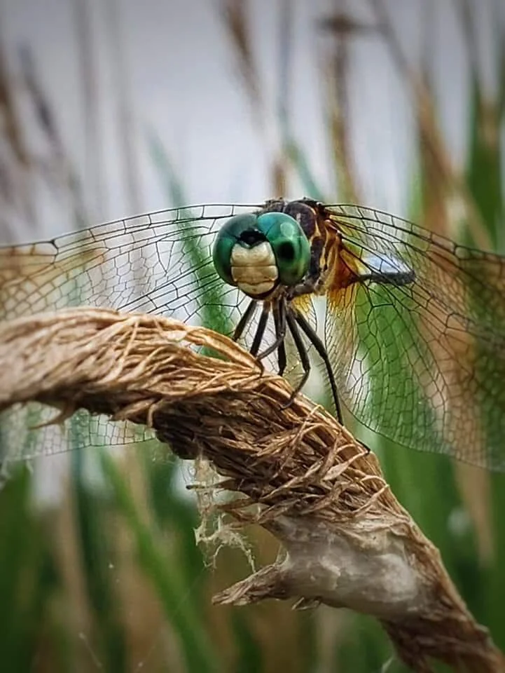 Wanderings…photography by ellen, 11”x14”, SOLD