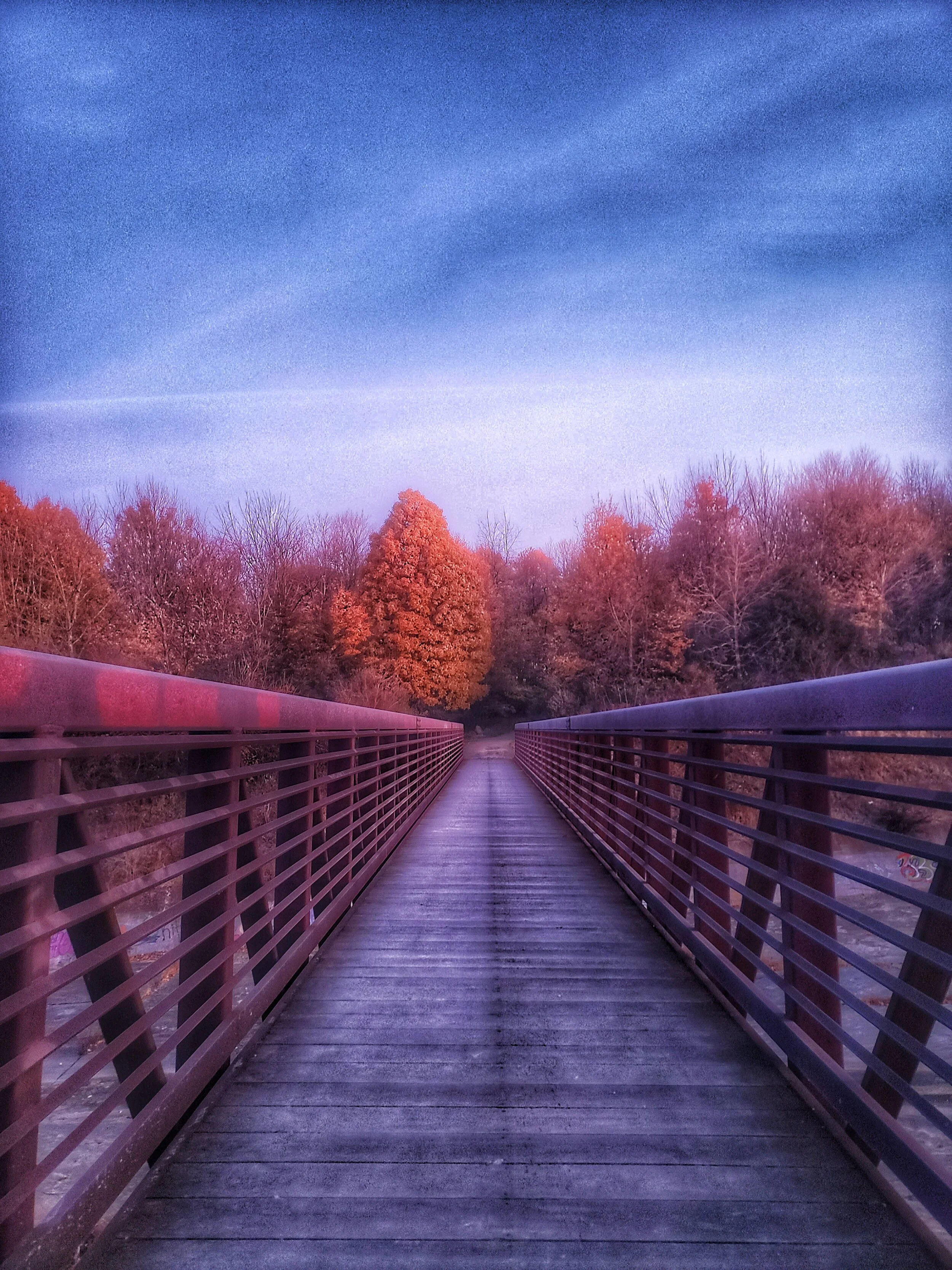 Wanderings…photography by ellen, 11”x14”, $95