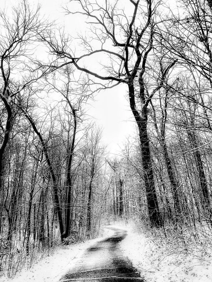 Wanderings…photography by ellen, 11”x14”, $95