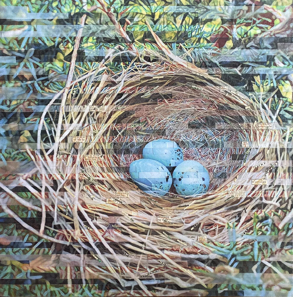 Lori Reed, Resting in Hope, multiple digital alterations of a photo of a nest of robin’s eggs, cut and combined with book text, colored pencil and shredded U.S. currency, 12”x12”, $315 