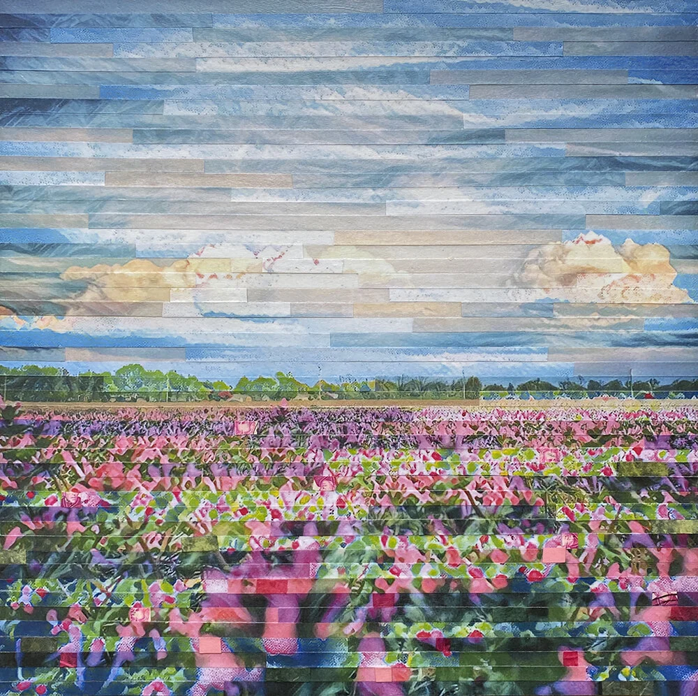 Lori Reed, Field Notes, multiple digital alterations of a photo, cut and combined with handmade paper and canceled U.S. postage stamps, 12”x12”, $315