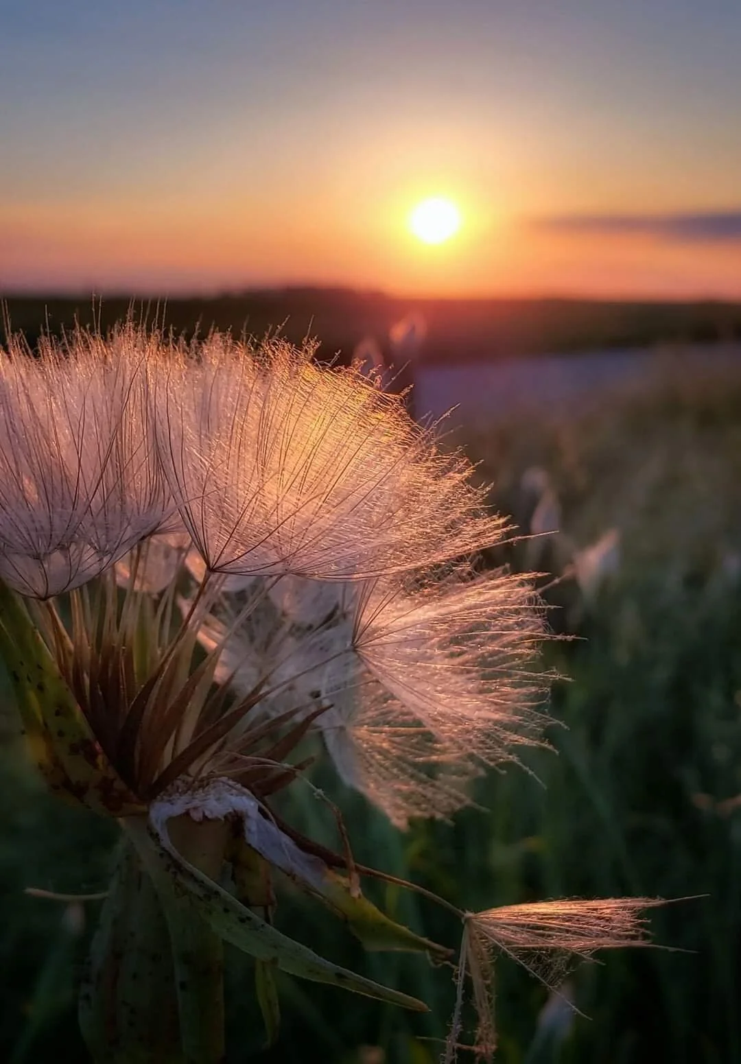 Wanderings…photography by ellen, 11”x14”, $95