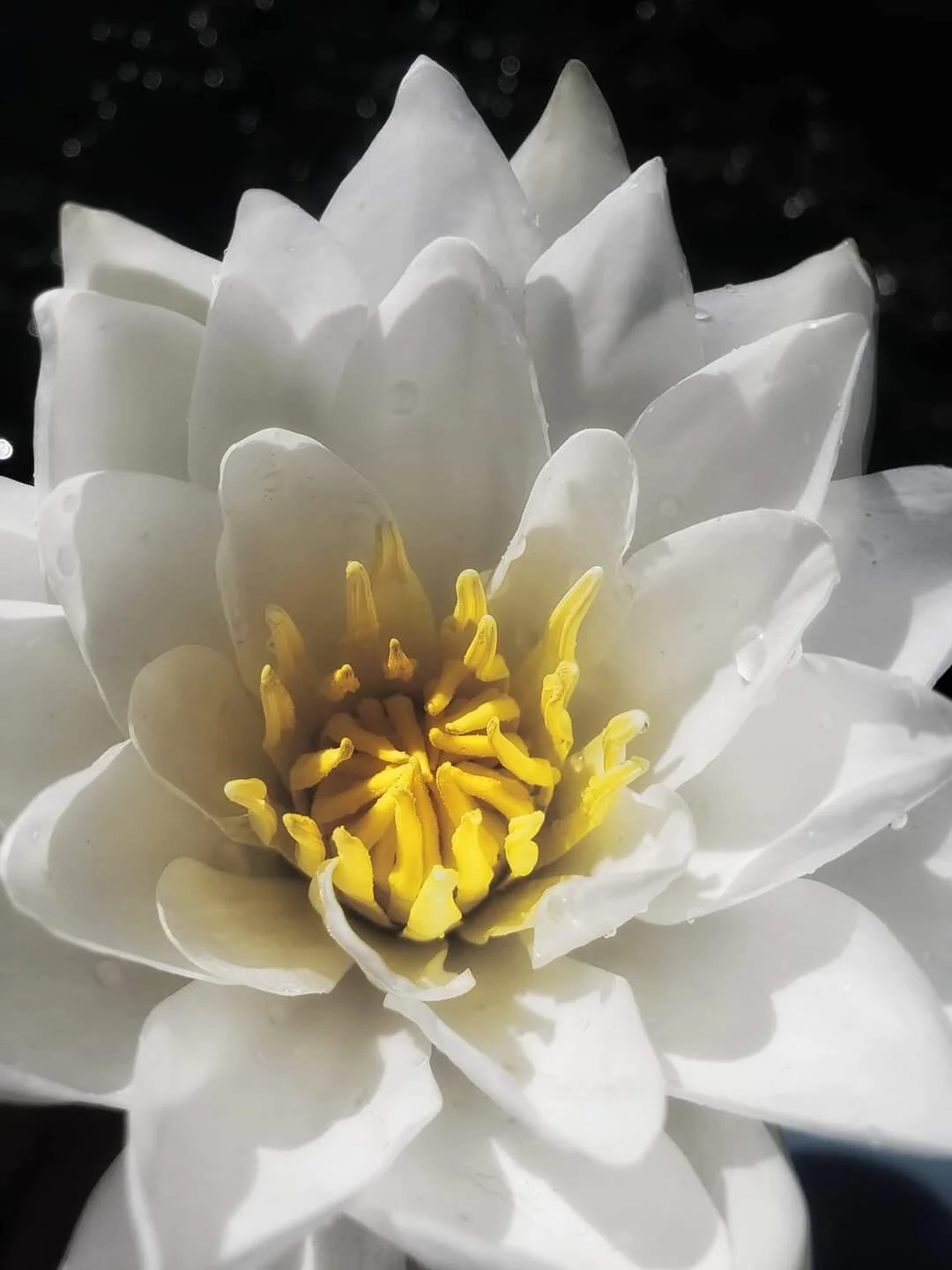 Wanderings…photography by ellen, 11”x14”, $95