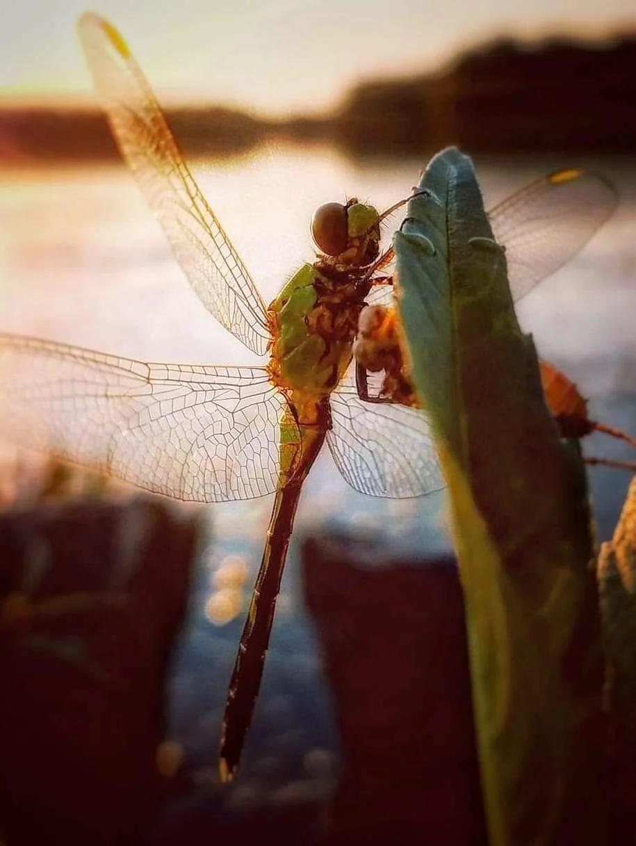 Wanderings…photography by ellen, 11”x14”, $95