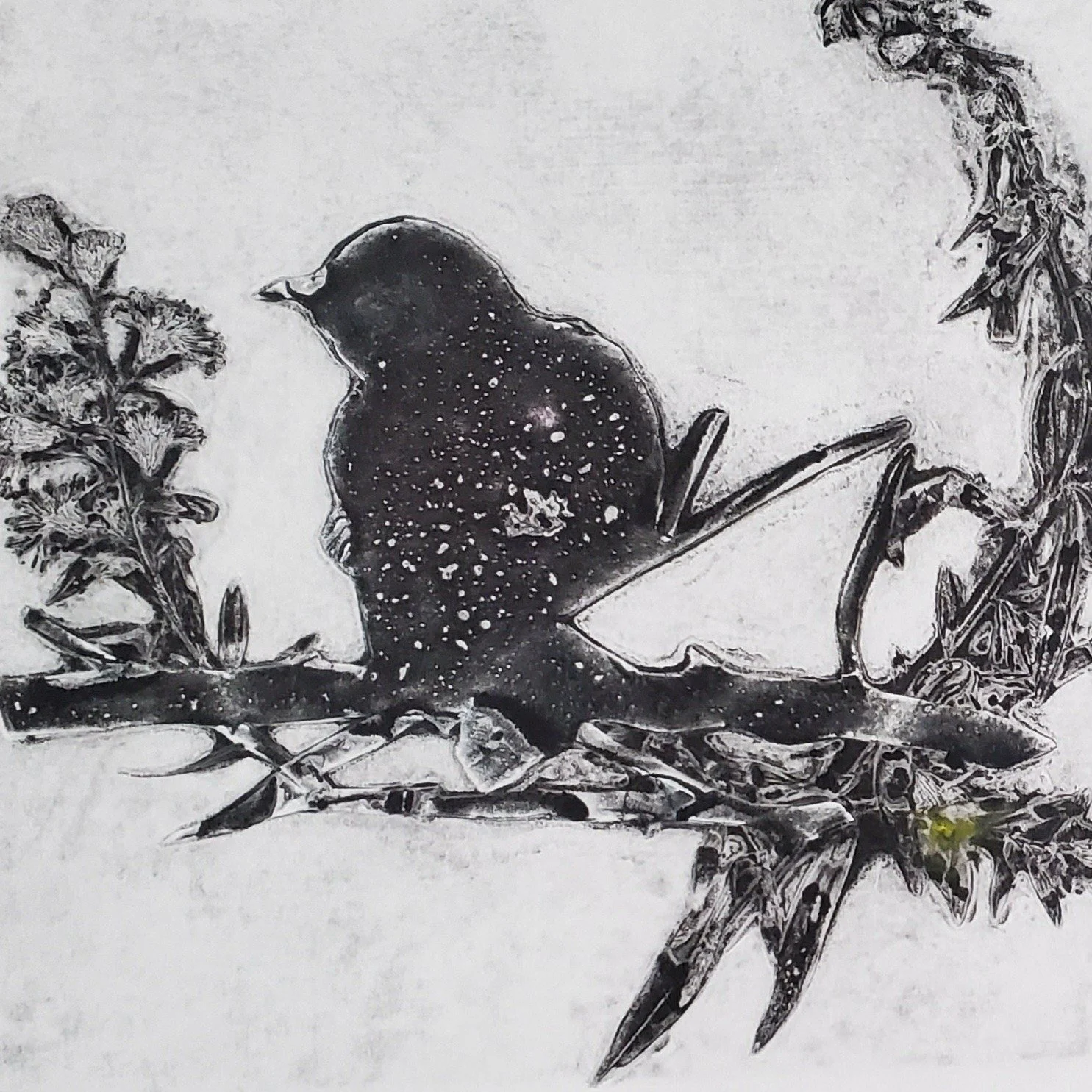 Learn all about COLLAGRAPHS with NIKKI PONCE on Saturday, May 23 from 12-2pm! ✨

Collagraph plates create richly textured prints by layering&mdash;and even cutting into&mdash;materials like fabric, string, cardboard, and found objects. Explore how va