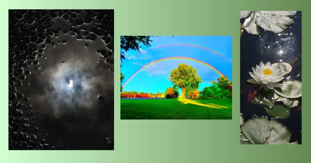 ✨ THE RESULTS ARE IN! ✨ Thanks to everyone who participated in our eARTh Fest 2026 📸 Photo Contest. Every single photo received at least one community vote for 1st, 2nd, or 3rd place (congrats to all 👏) . . . however, once all votes were tallied, t