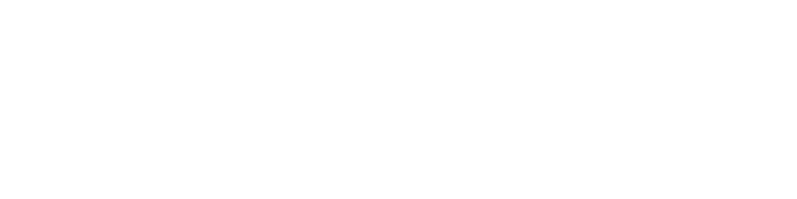 PUSHKIN-LOGO.WHITE.png