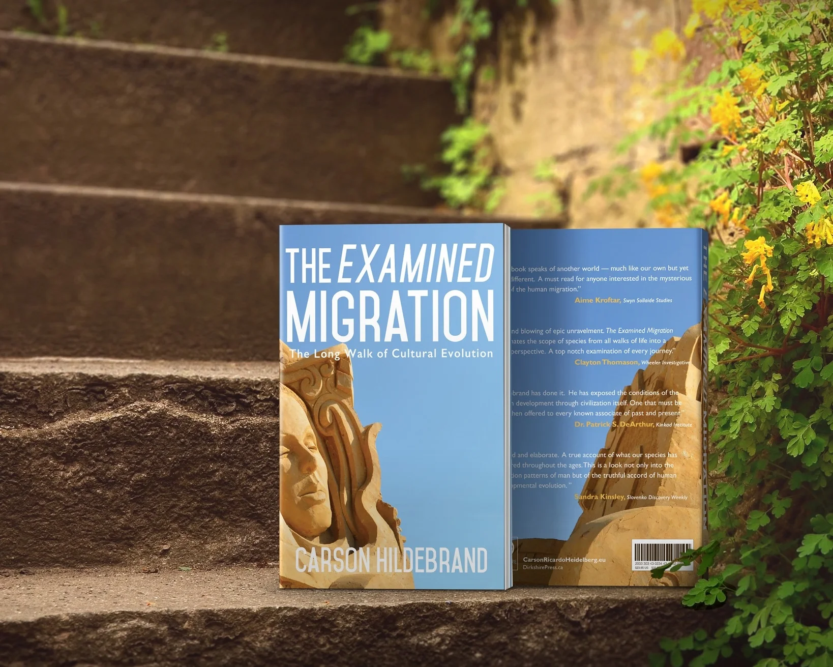 The Examined Migration Book Cover Design