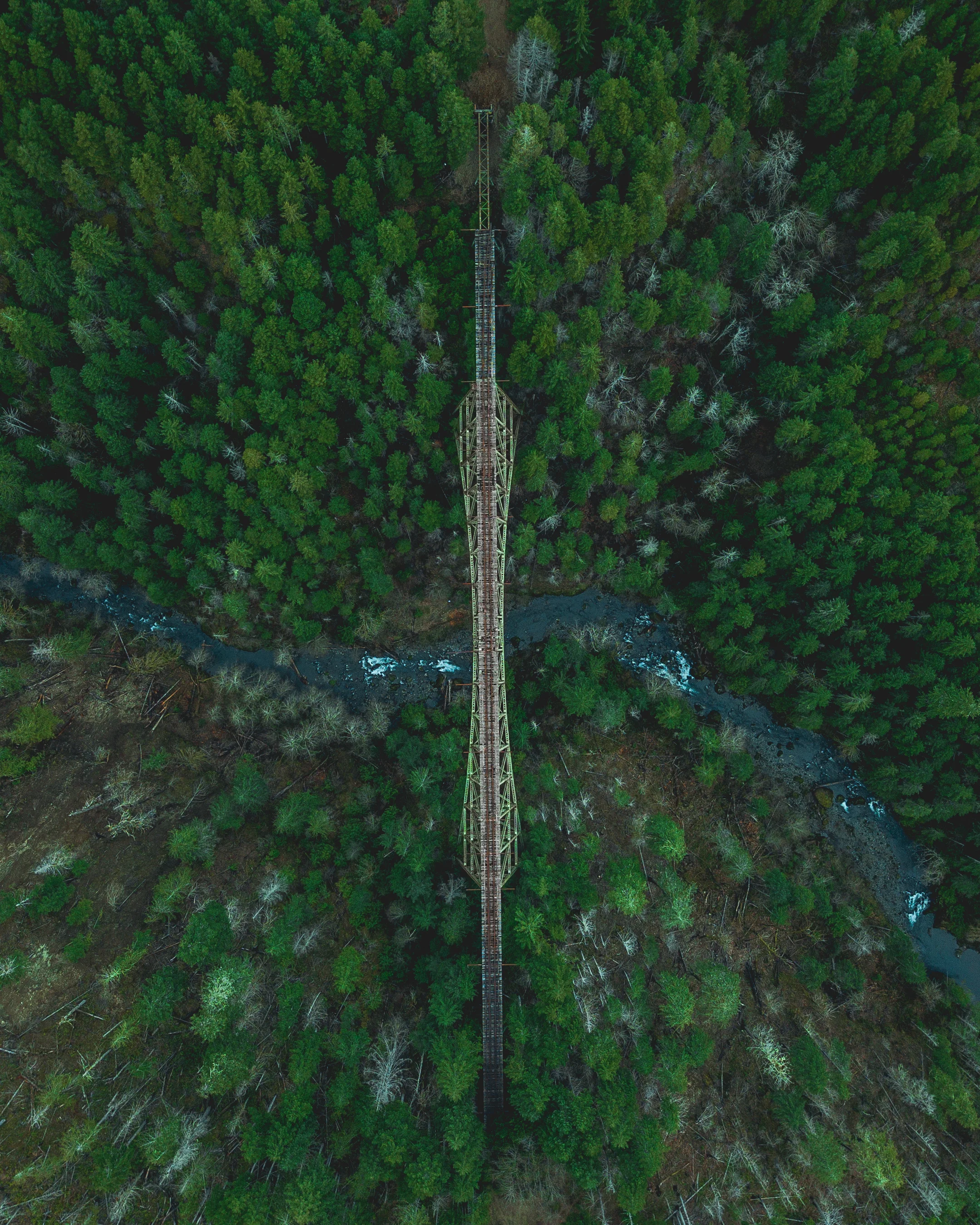 DJI_0056.jpg