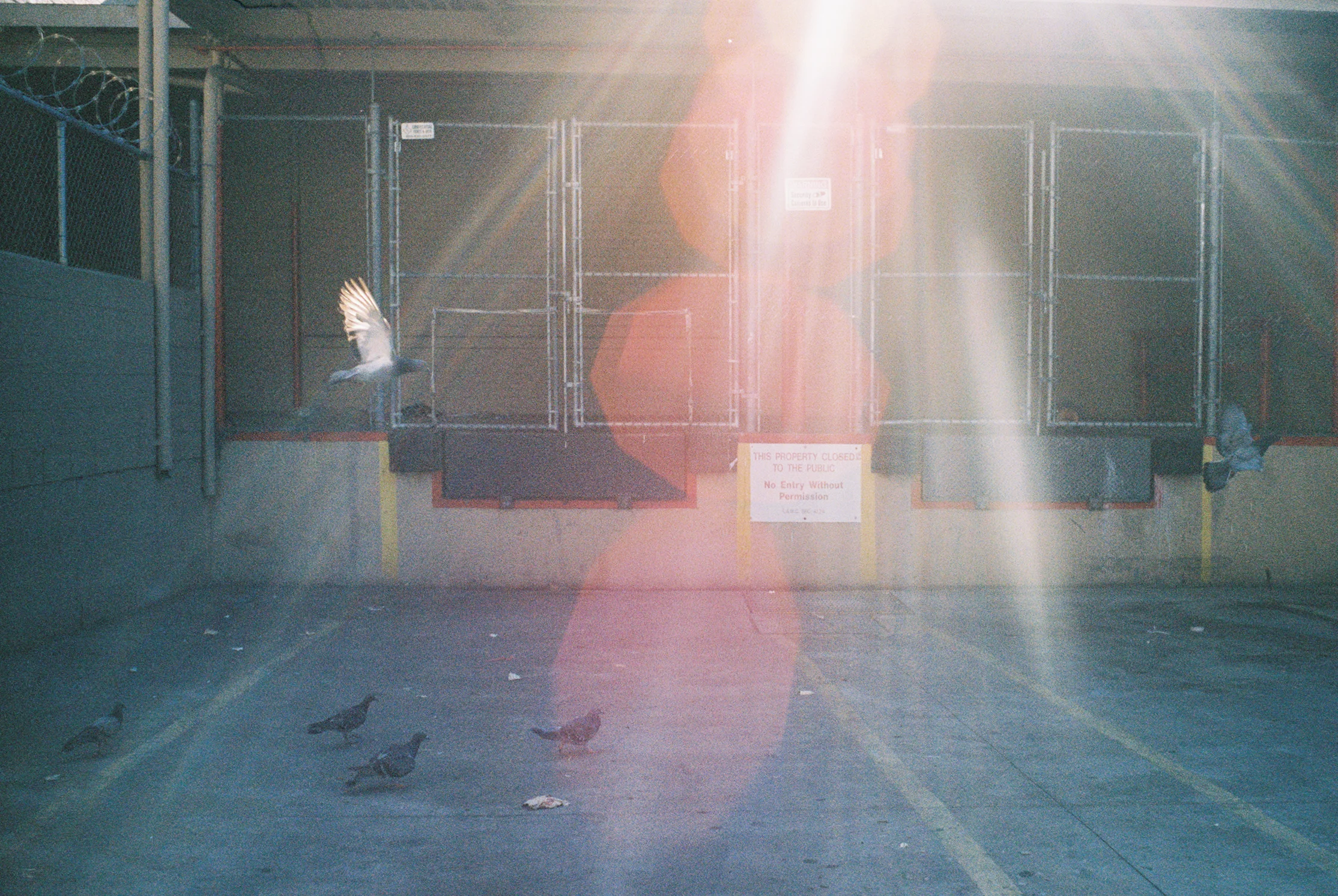 untitled (12 of 14).jpg