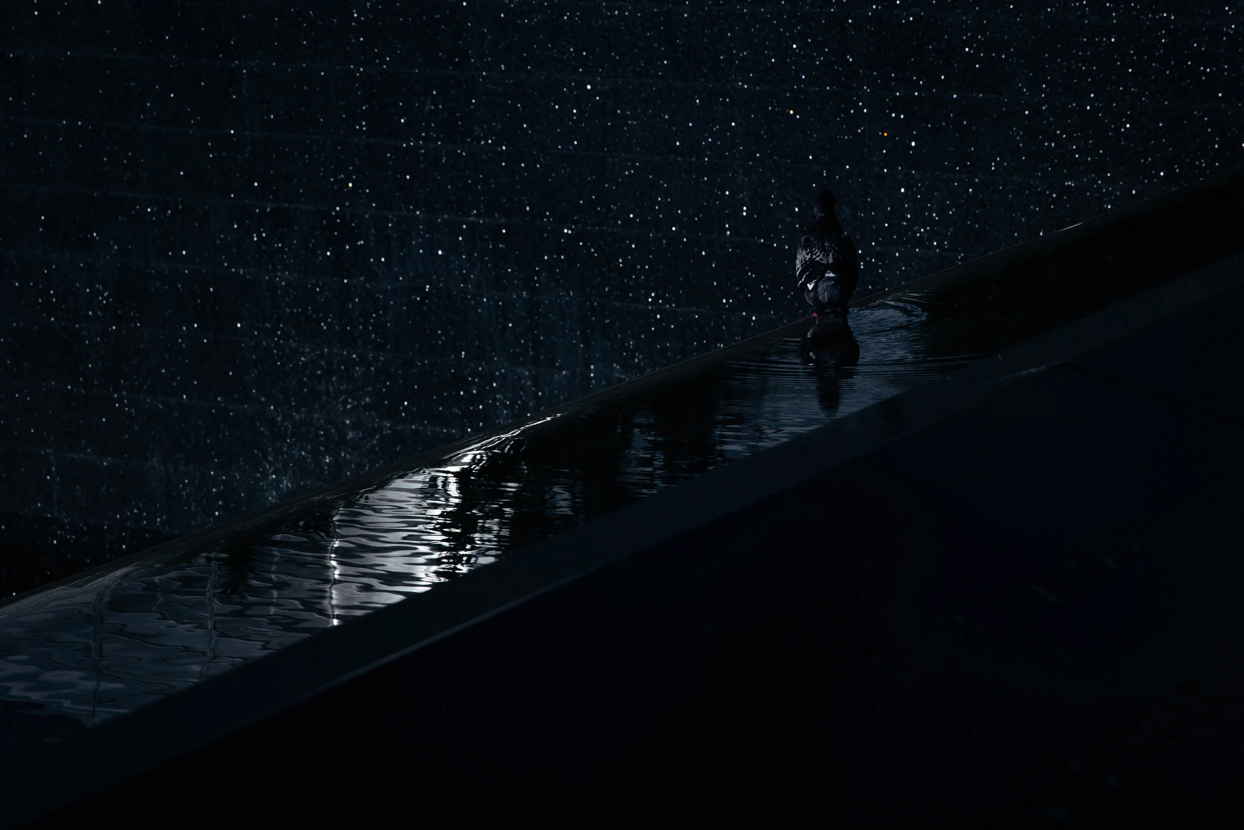 NY_S (2 of 13).jpg