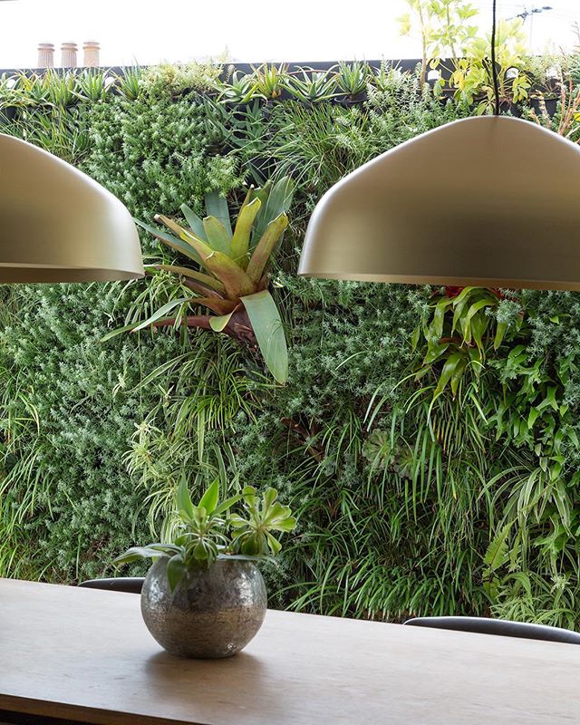 This super lush greenwall by @greenwallaustralia hides an industrial view and completely changes the feel of this Balmain residence.
.
.
.
.
#architecture #interiordesign #interiorstyling #lounge #design #landscapedesign #landscapephotography #landsc