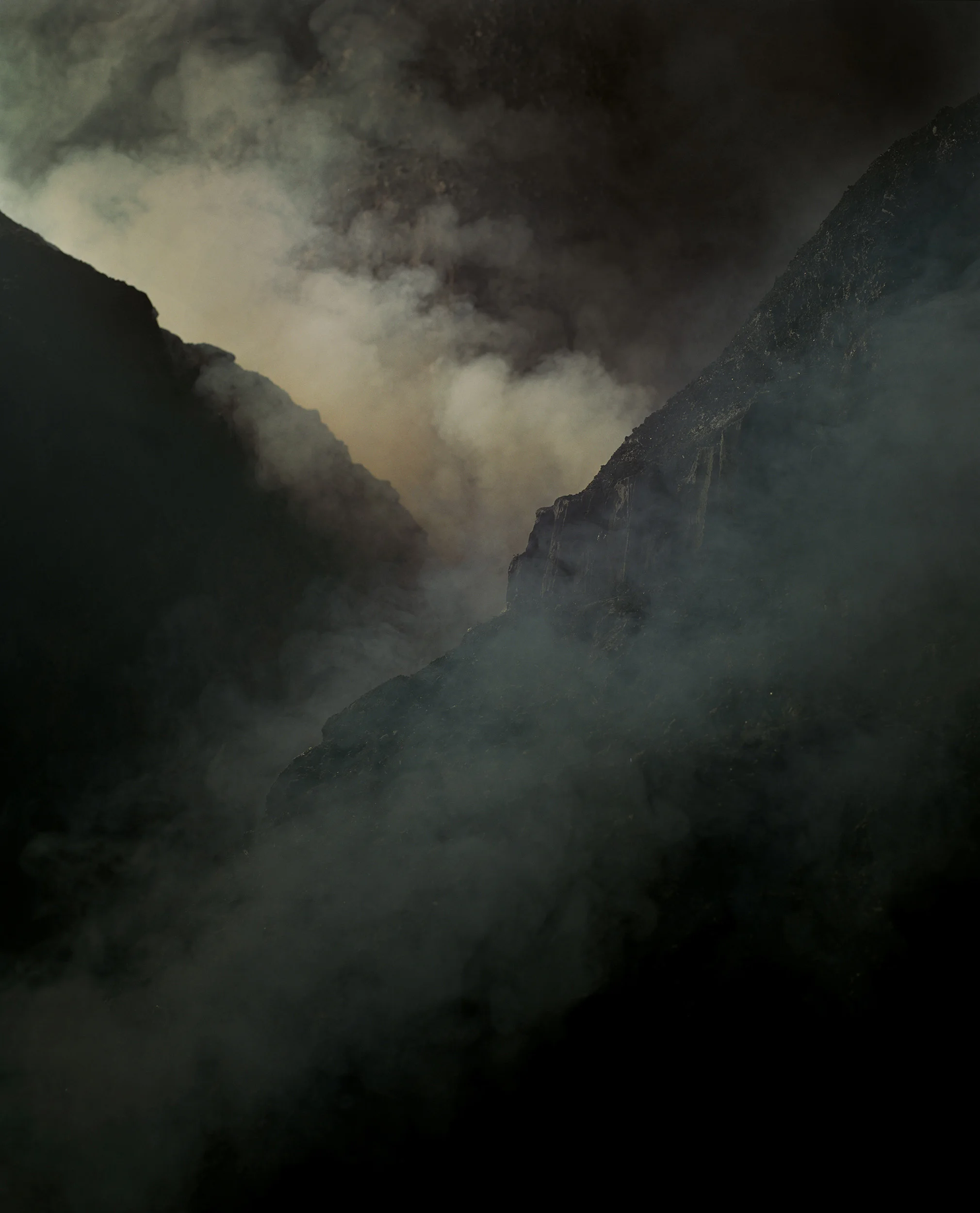 Wildfire