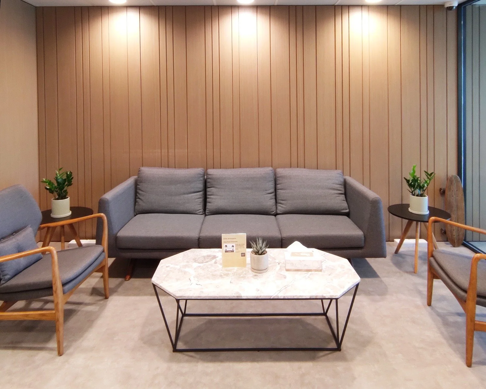 Office Photo with plant 01.jpeg