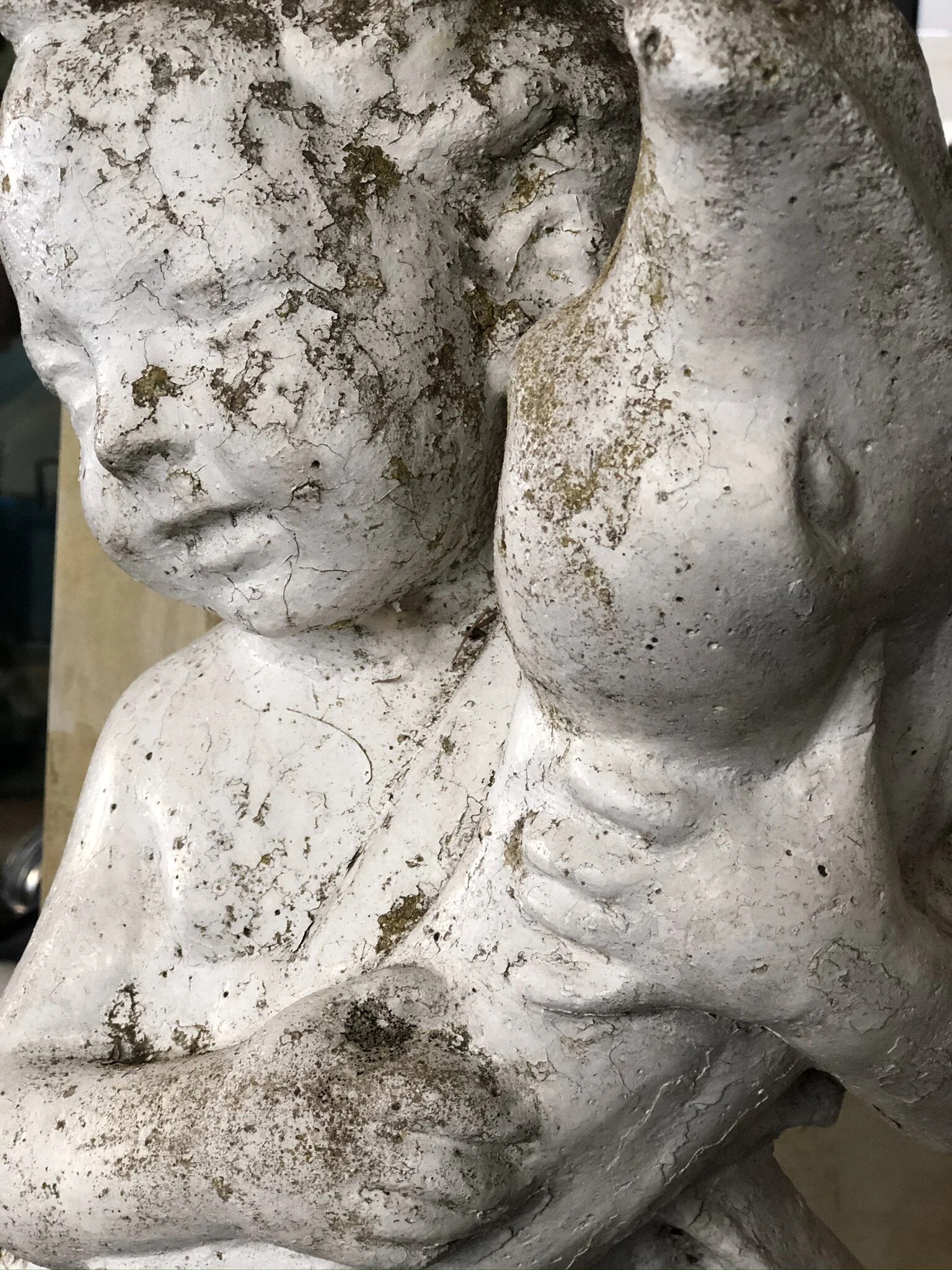 Putto with Dolphin