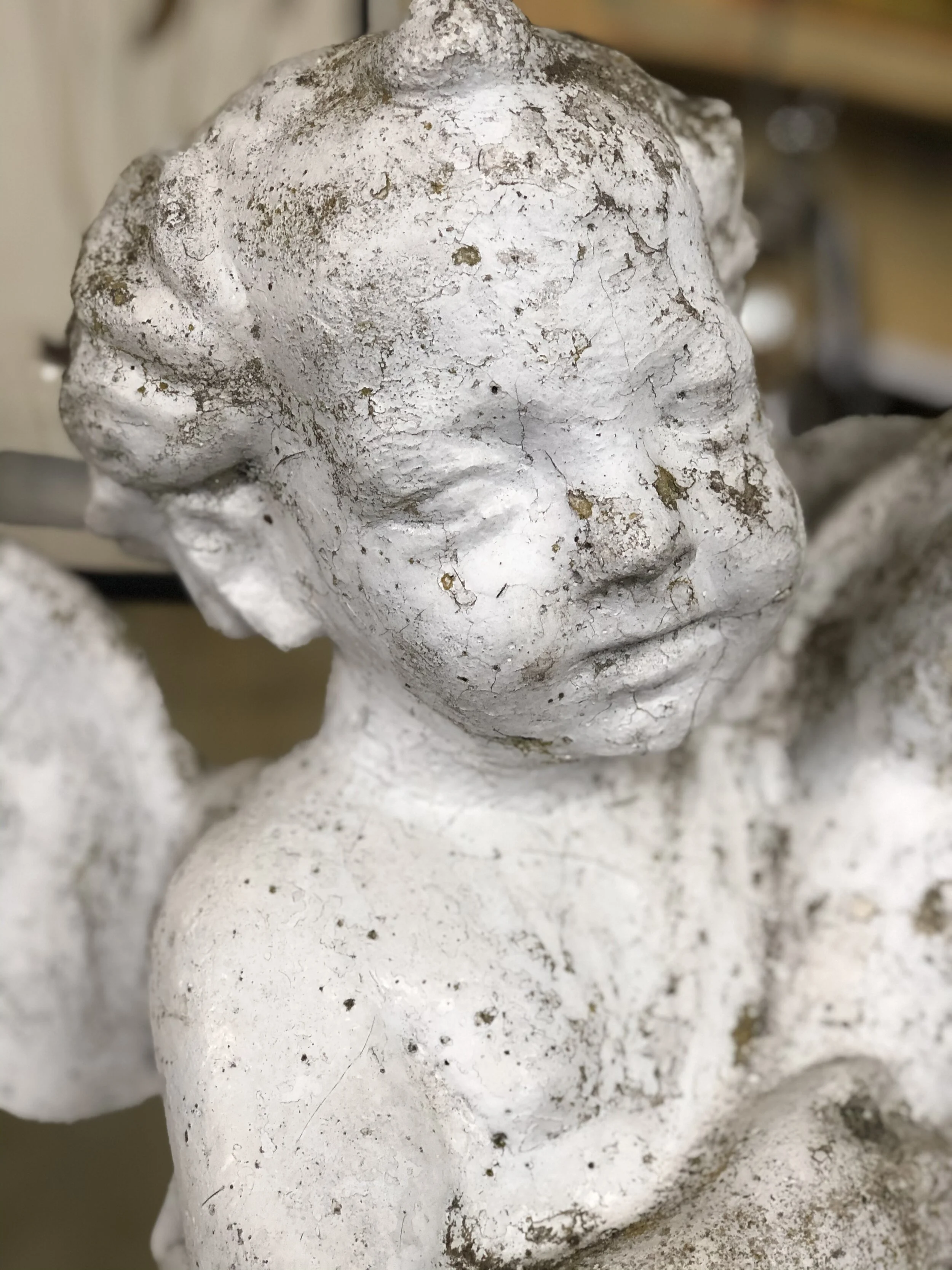 Putto with Dolphin
